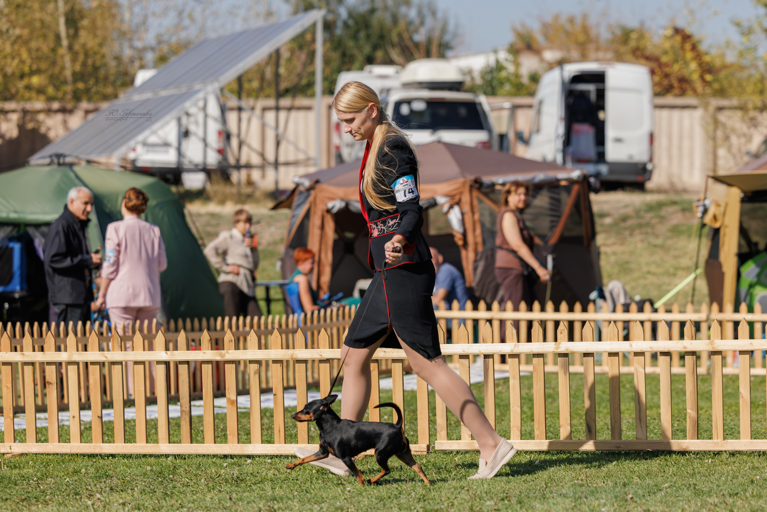 Ереван 14-16.10.2025. Фотограф-анималист Юлия Германика