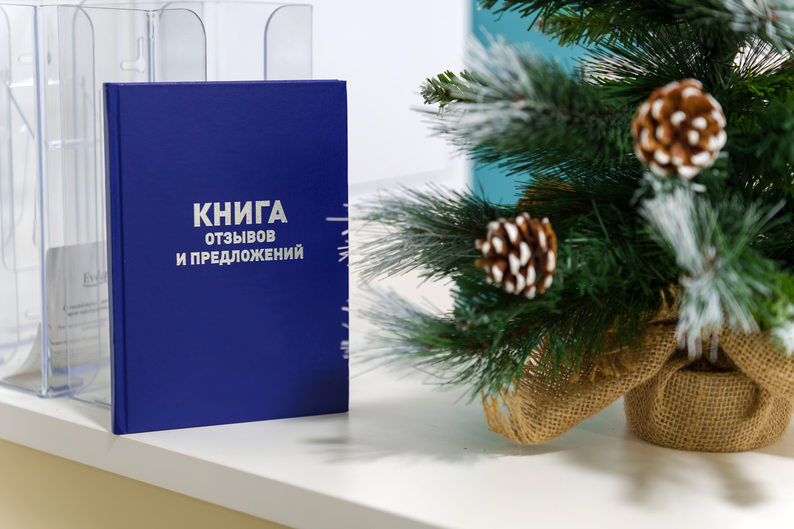 ЦДЗ «Доктория». Фотограф в Туле и области Константин Гудовичев