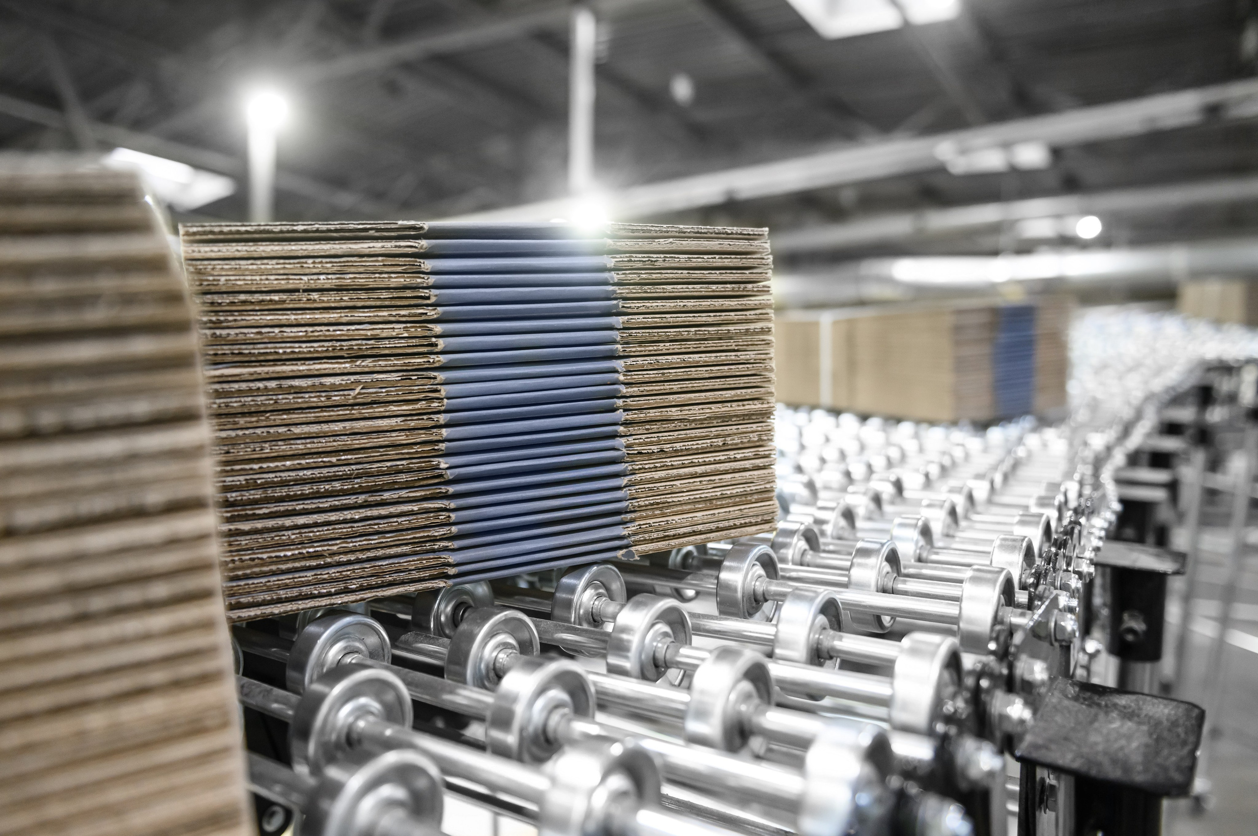 Проекты. Профессиональный фотограф Вячеслав Плацында | Липецк |