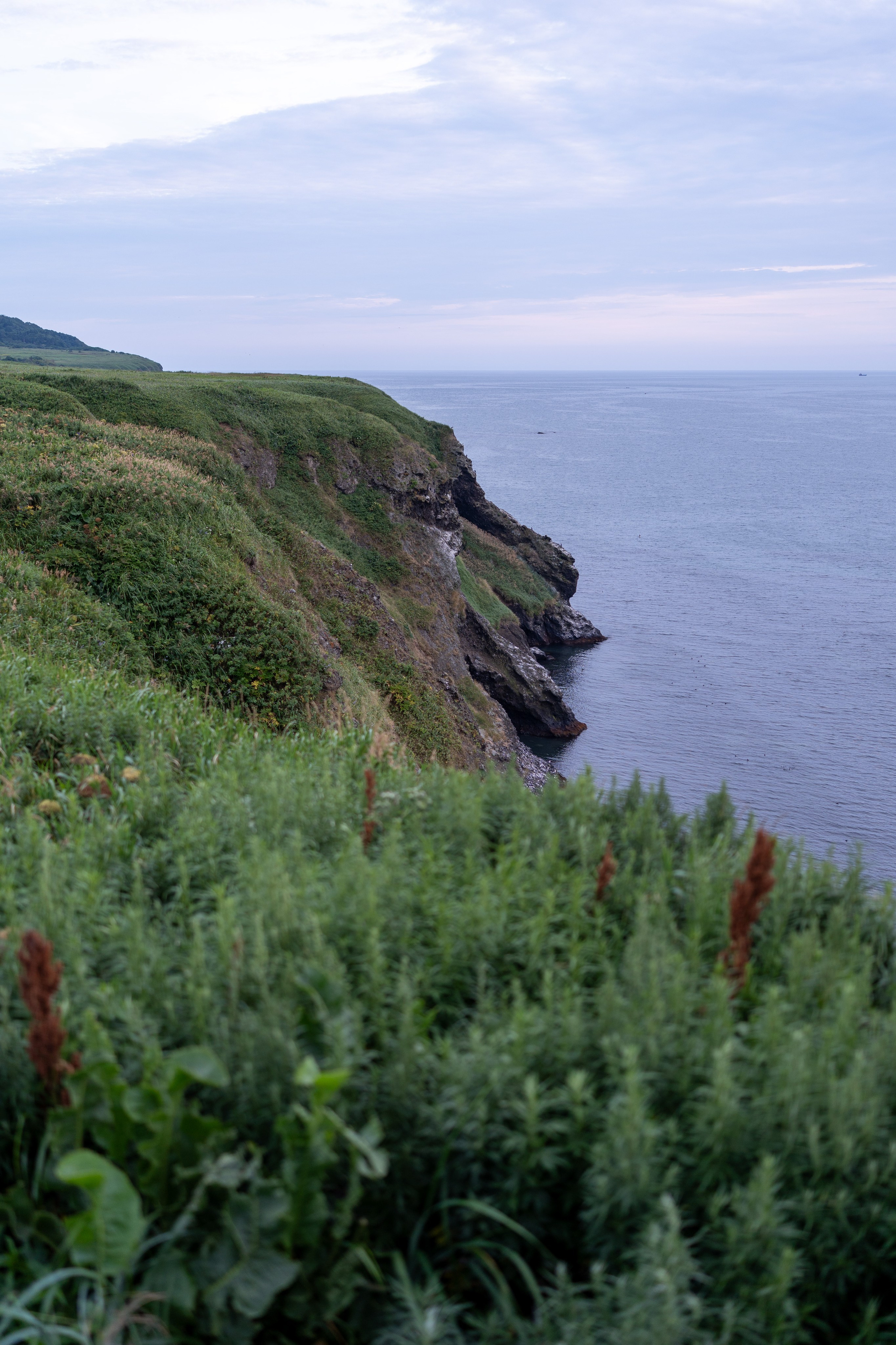 Сахалин 2025. Творческие сьемки