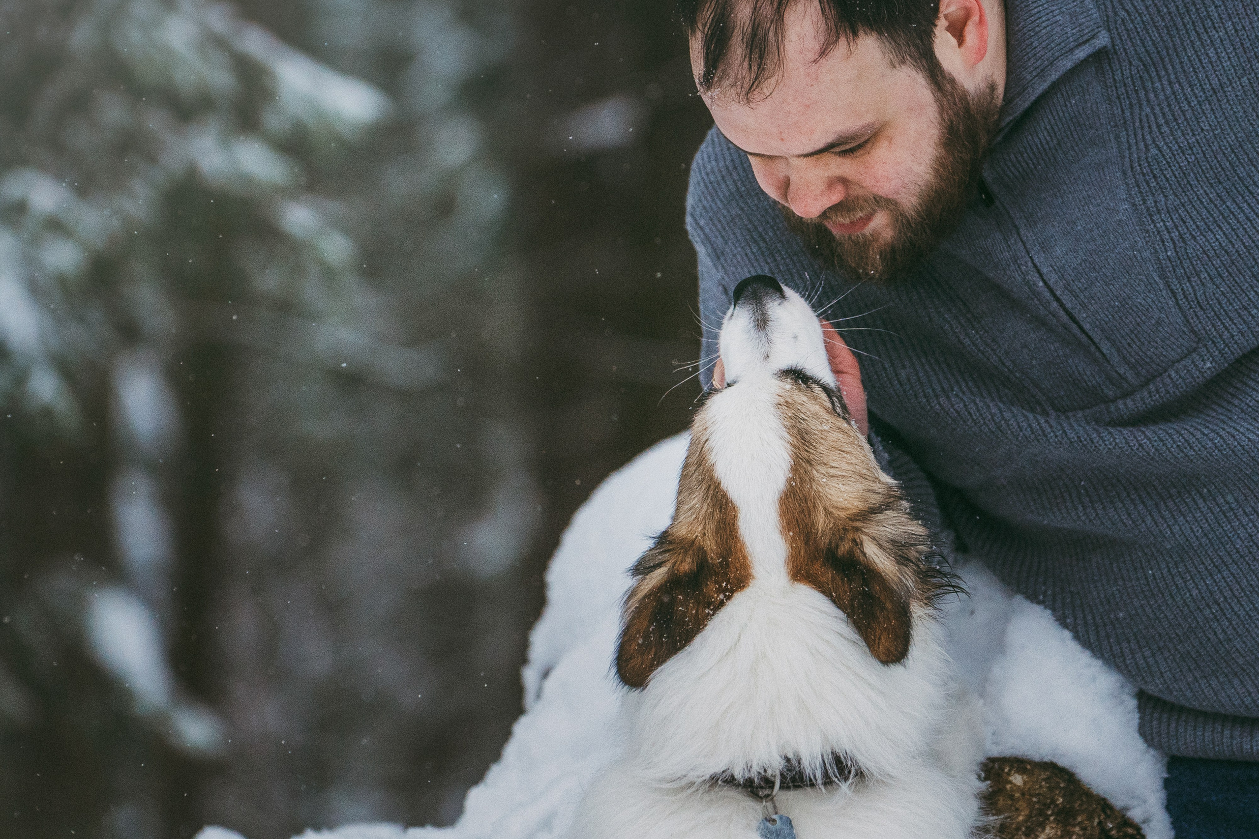 Катя, Анатолий и Елай. Фотограф анималист в Москве и Санкт-Петербурге Свиридова Анна