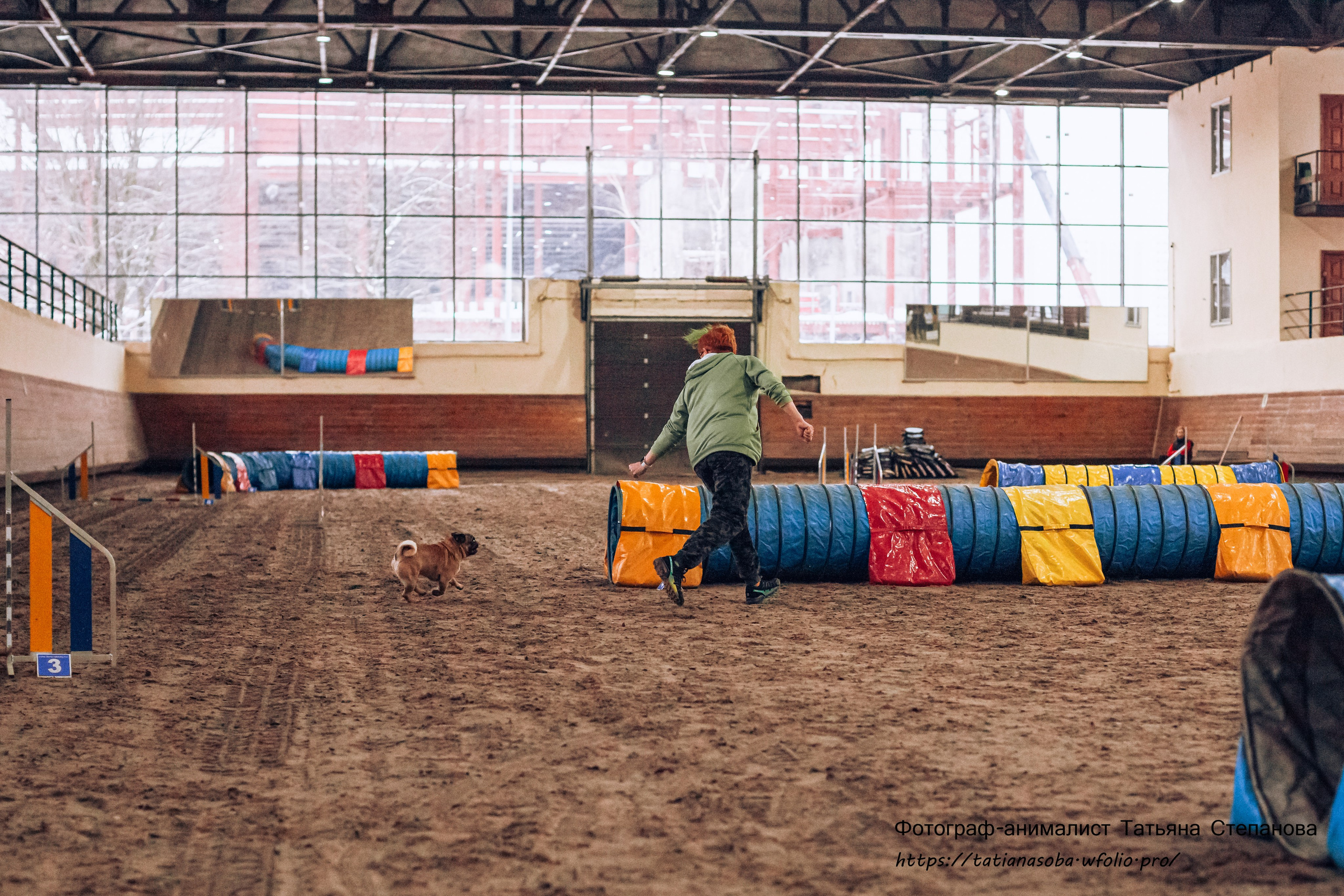 Соревнования по Аджилити 25.02.2024. Фотограф-анималист Татьяна Степанова