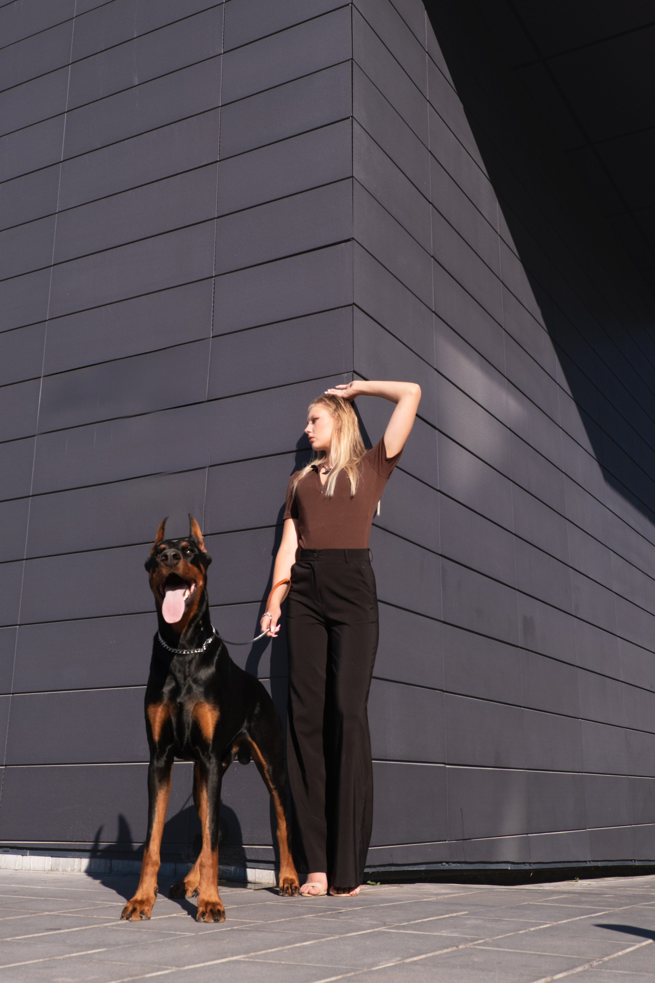 Фотосессия с Доберманом. Профессиональная фотосъемка в Крыму. Натуральные эмоции и живые кадры. Забронируйте дату прямо сейчас!