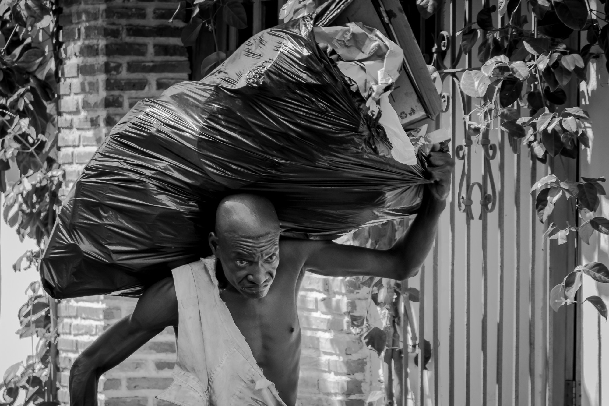 Фотограф Алексей Скоробогатько