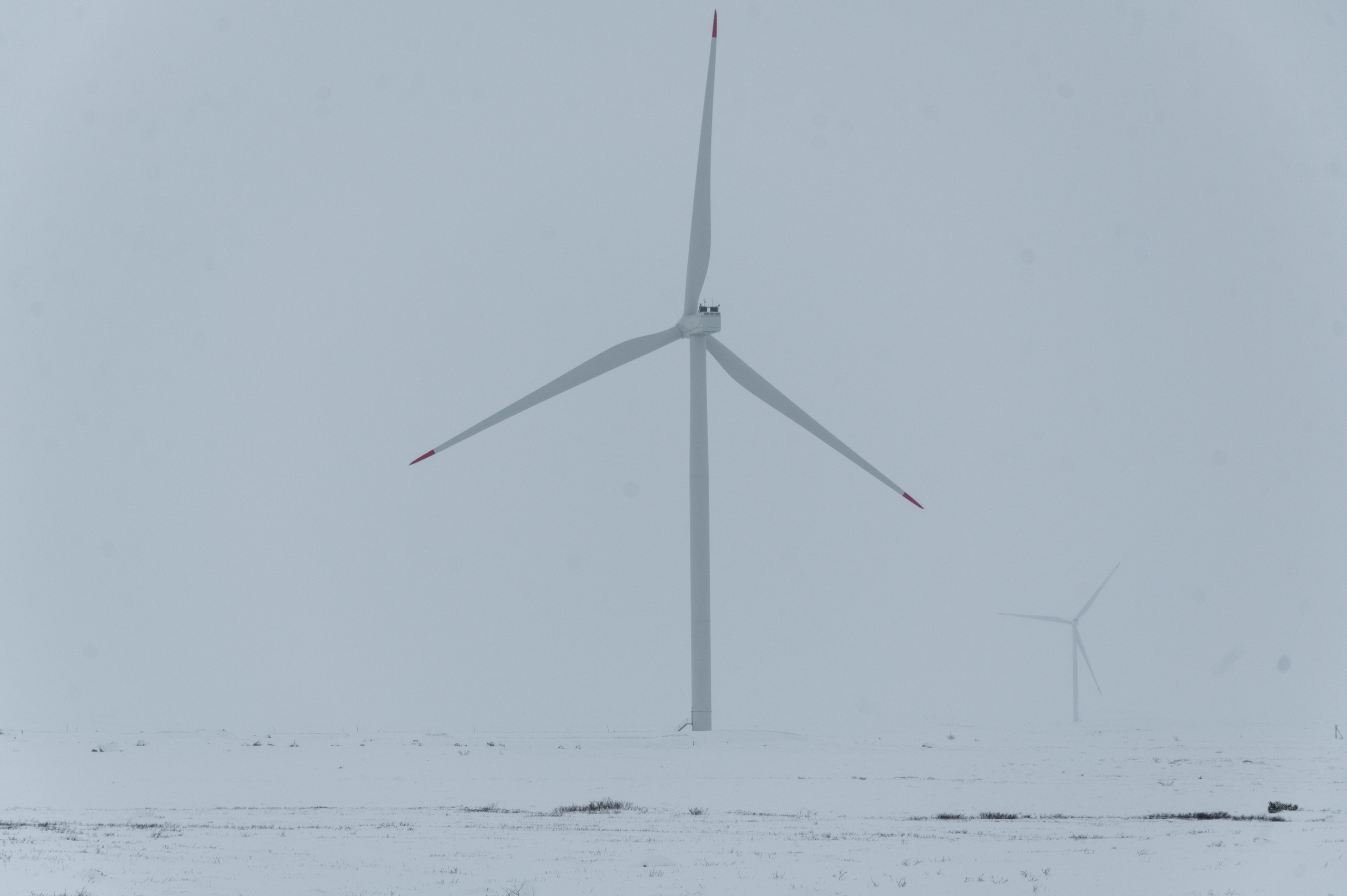 Териберка. Ноябрь 2023. Фотограф Роман Адлер