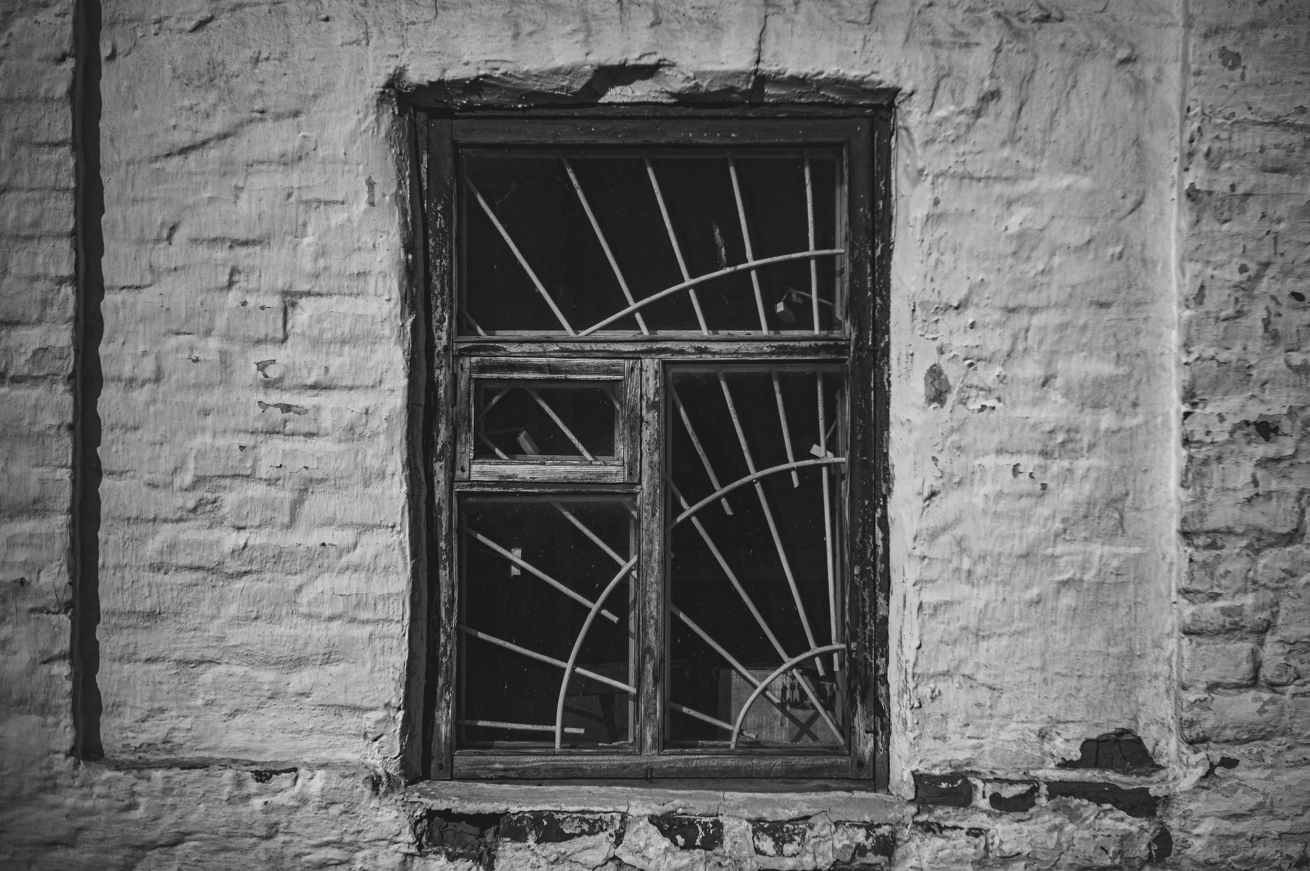 Рязань. Май 2022. Фотограф Роман Адлер