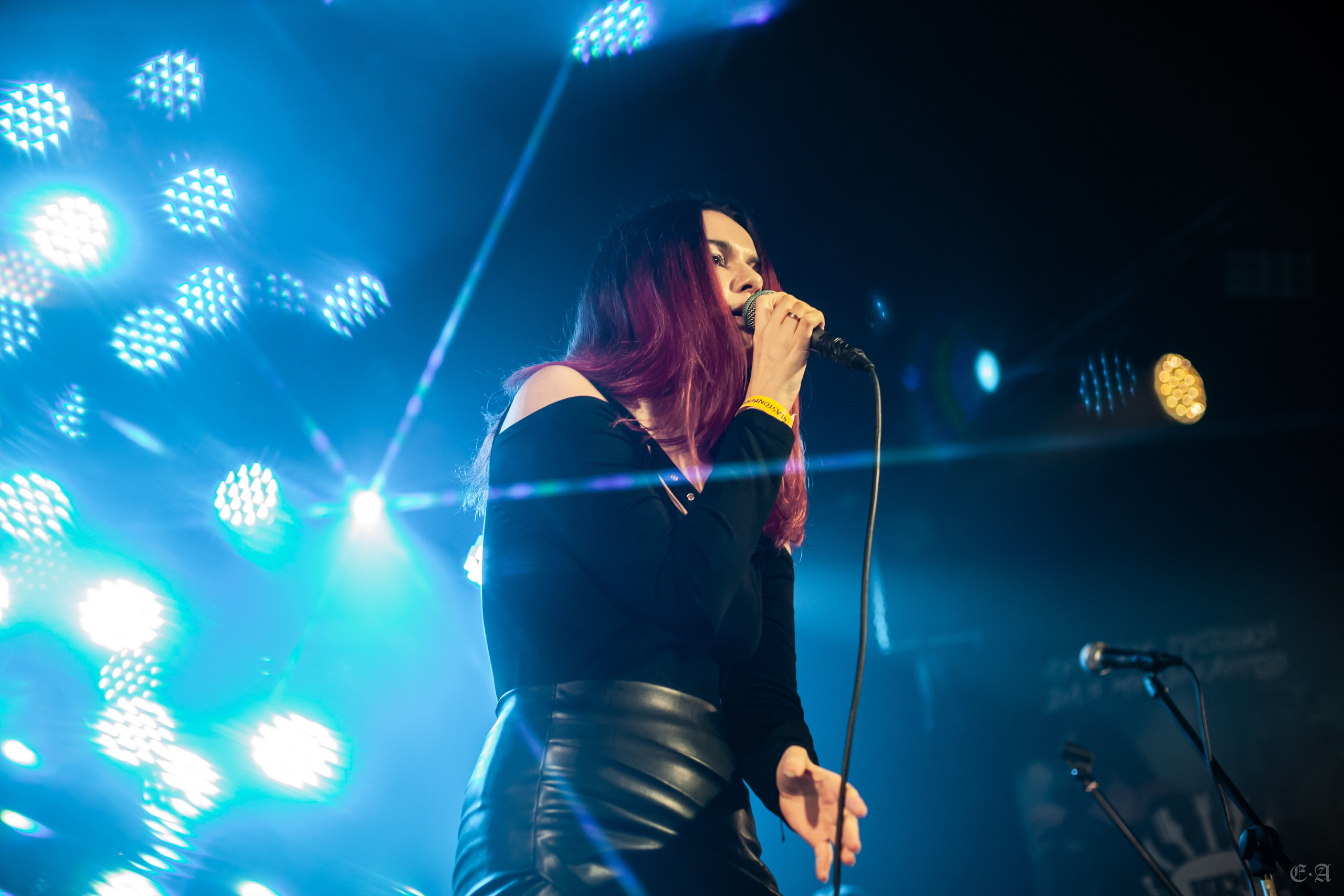 Концертное портфолио. Фотограф Ellairen