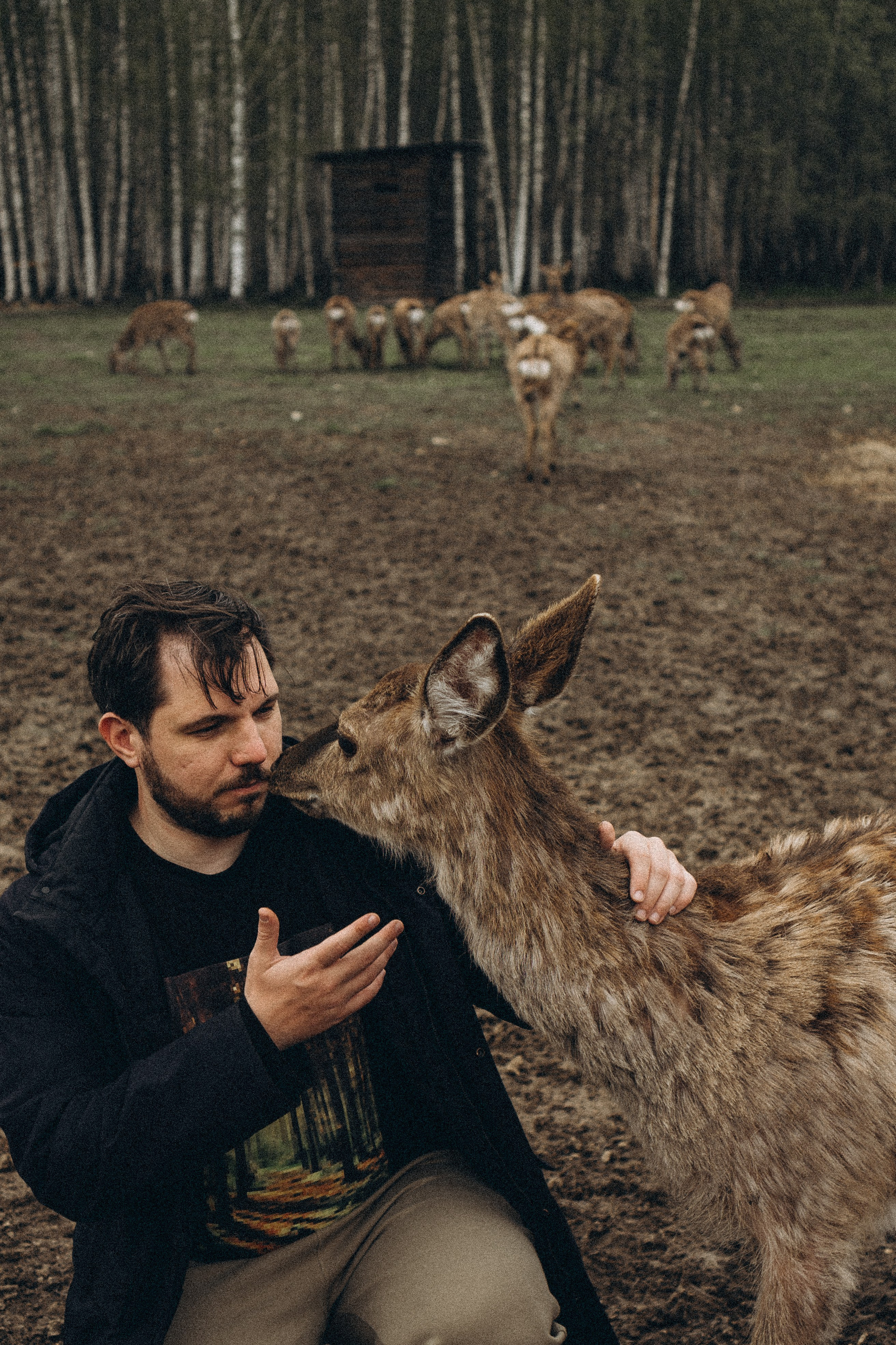 ОЛЕНЬЯ ФЕРМА В ТВЕРИ. Профессиональный фотограф, Санкт-Петербург — Виктория Богомолова
