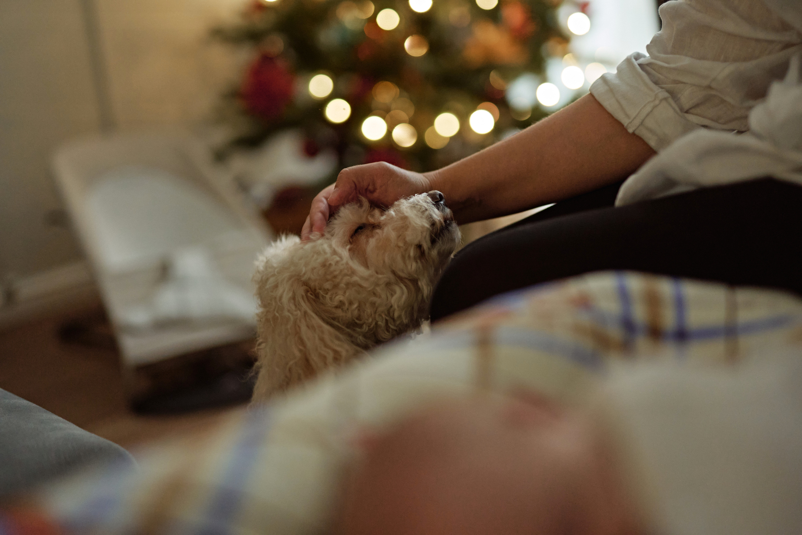NewBorn. Серия 3. Семейный фотограф Новороссийск, Анапа, Геленджик Мария Колесниченко