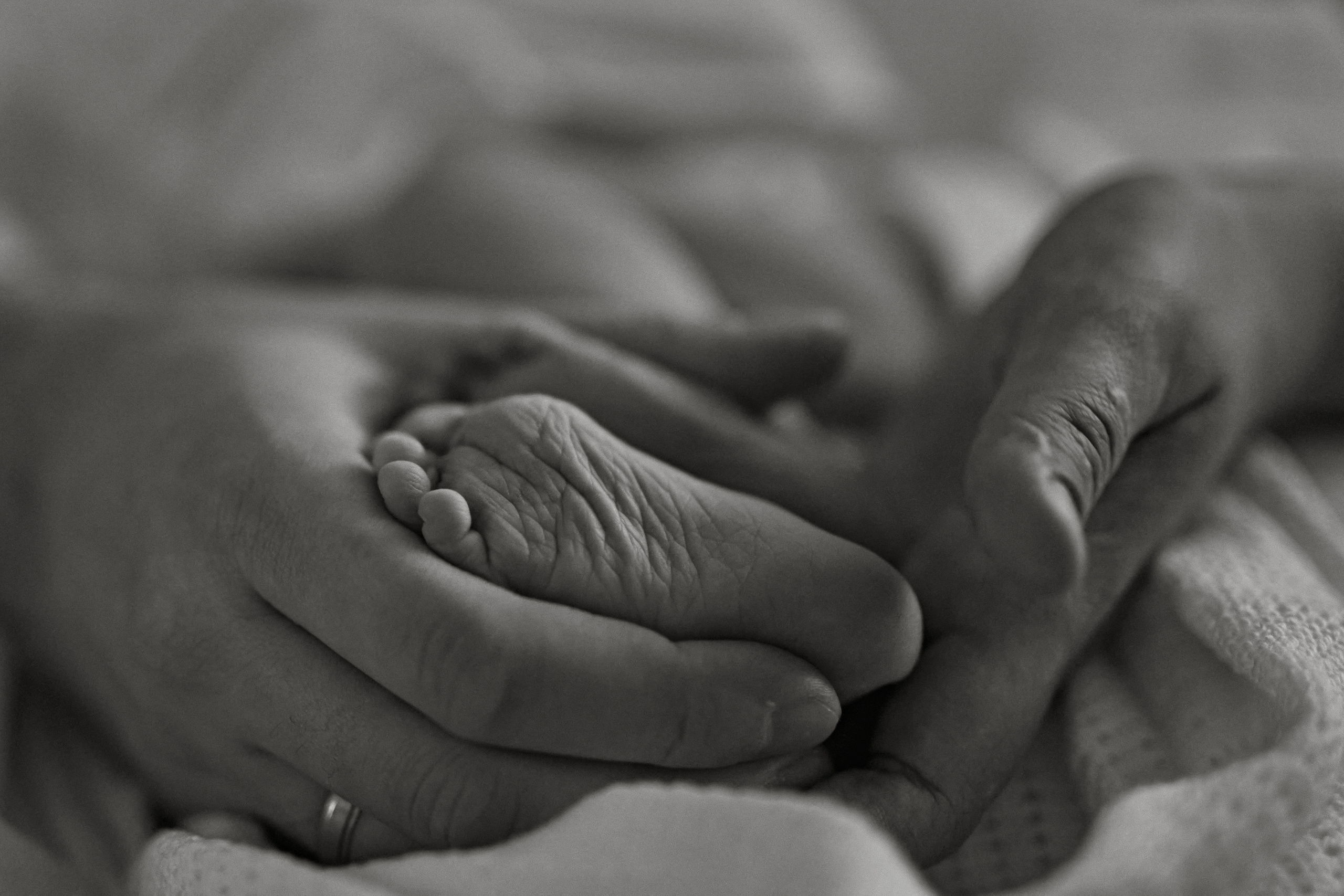 NewBorn. Серия 3. Семейный фотограф Новороссийск, Анапа, Геленджик Мария Колесниченко