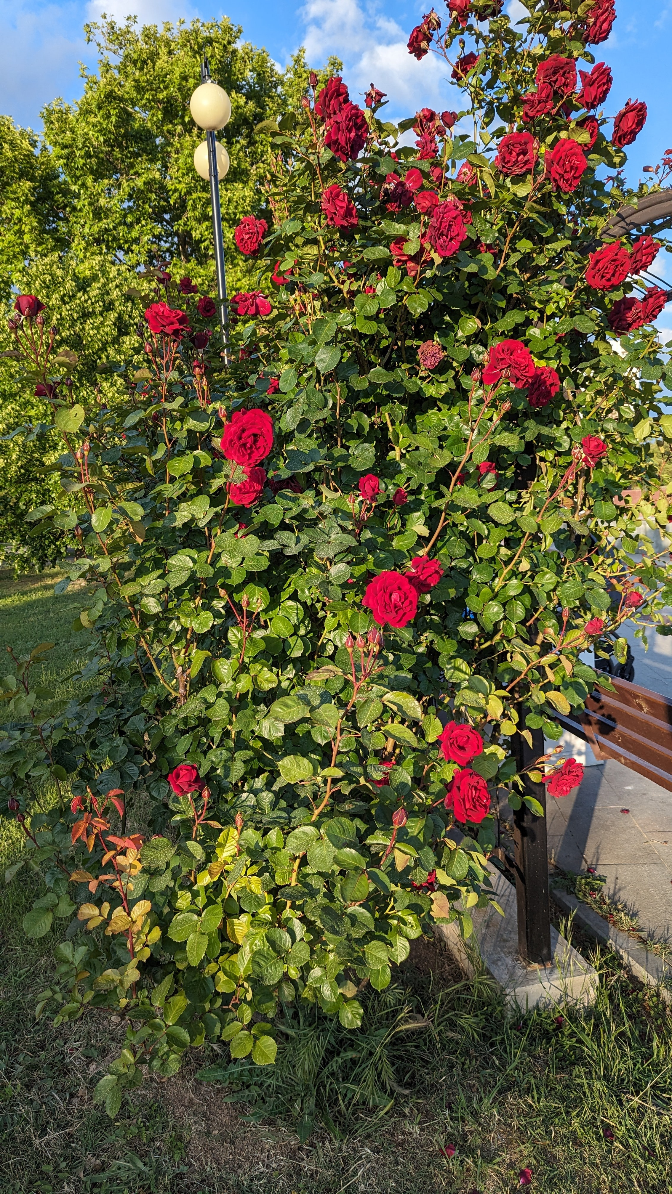 Самые красивые локации города Севастополь. Где пофотографироваться в Севастополе? Локации для фото. 1 место. Первое место. Место. Бывшее мес. Профессиональная фотосъемка в Крыму. Натуральные эмоции и живые кадры. Забронируйте дату прямо сейчас!