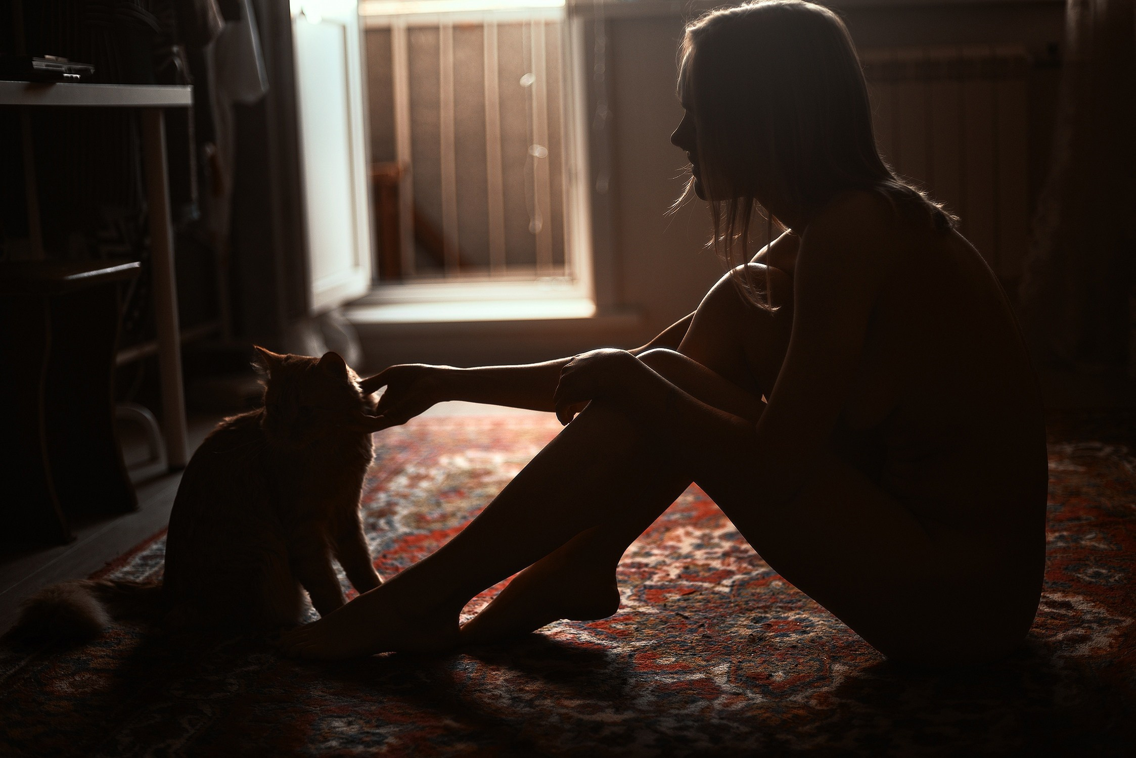 Цветной СВЕТ. Фотограф Тимофей Юров Москва