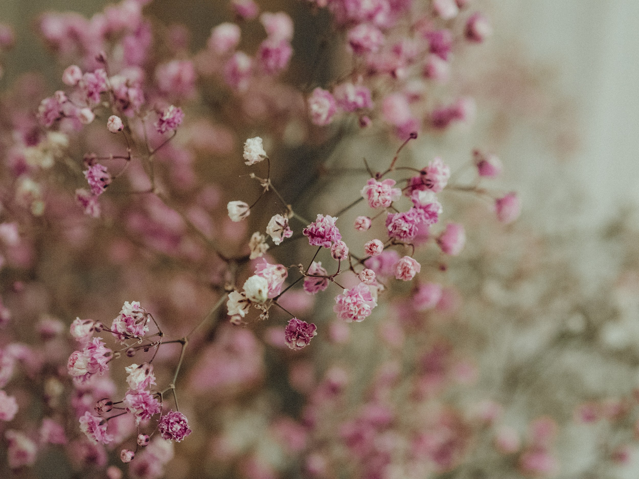 Улыбка и цветы. Фотограф в Москве — Сергей Люкшинов