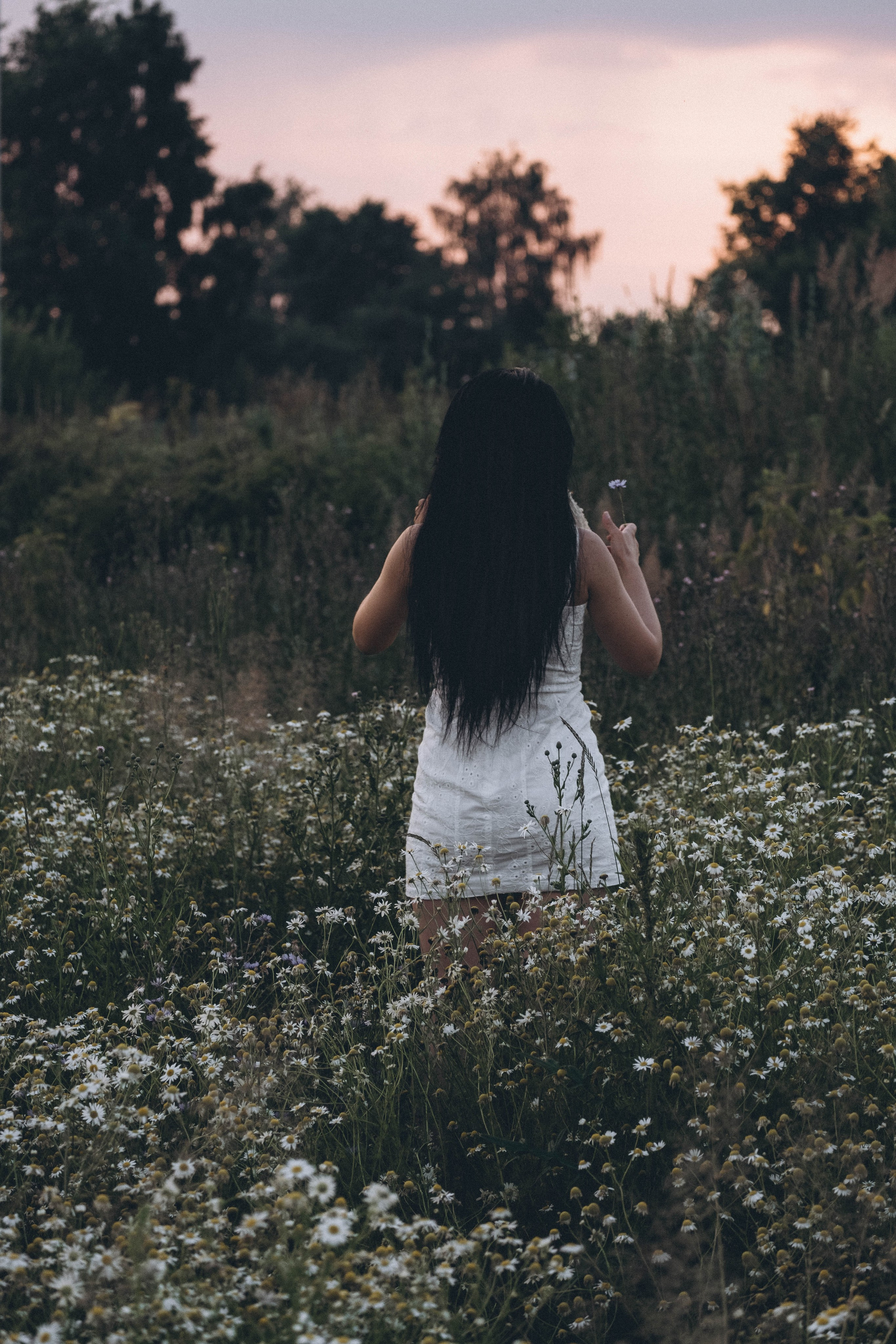 Ромашковое поле. Профессиональный фотограф, Санкт-Петербург — Виктория Богомолова