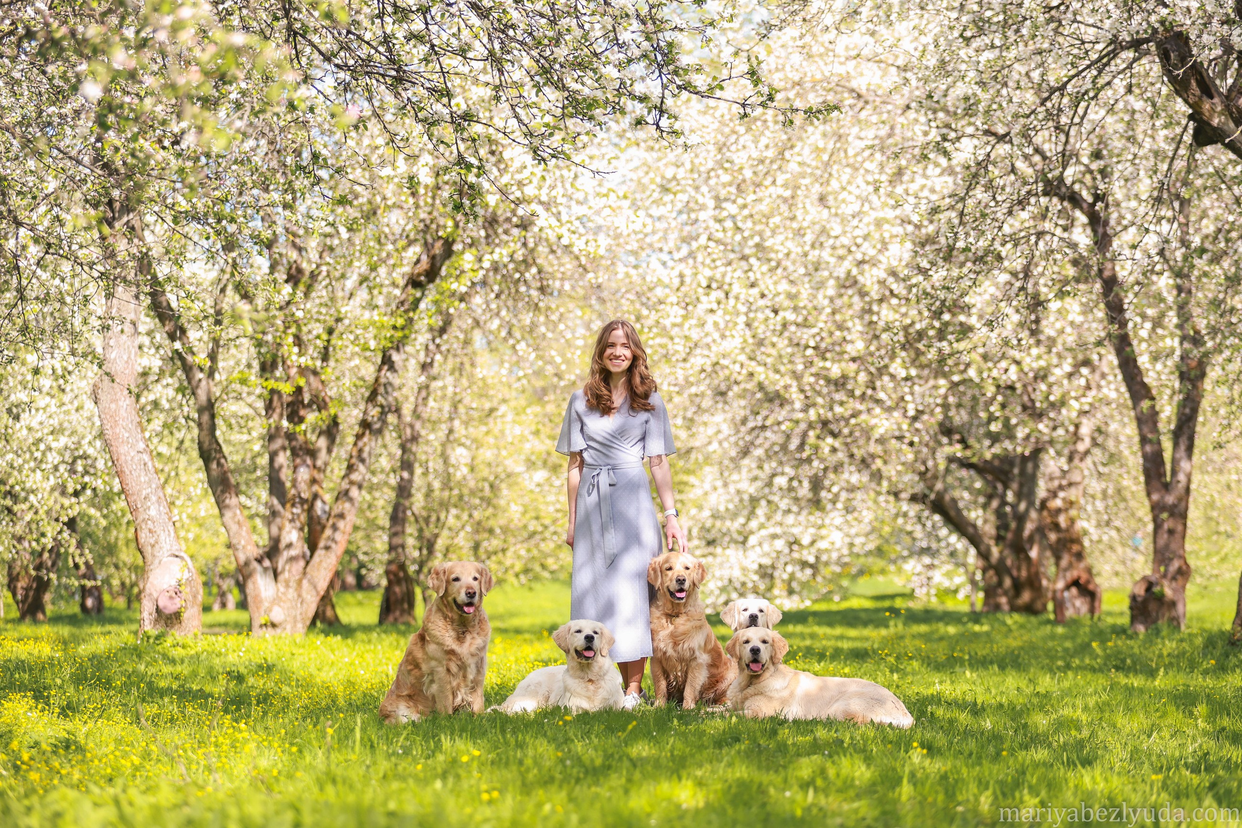 Собаки и их люди❤️. Семейный и детский фотограф в Москве Мария Быкова