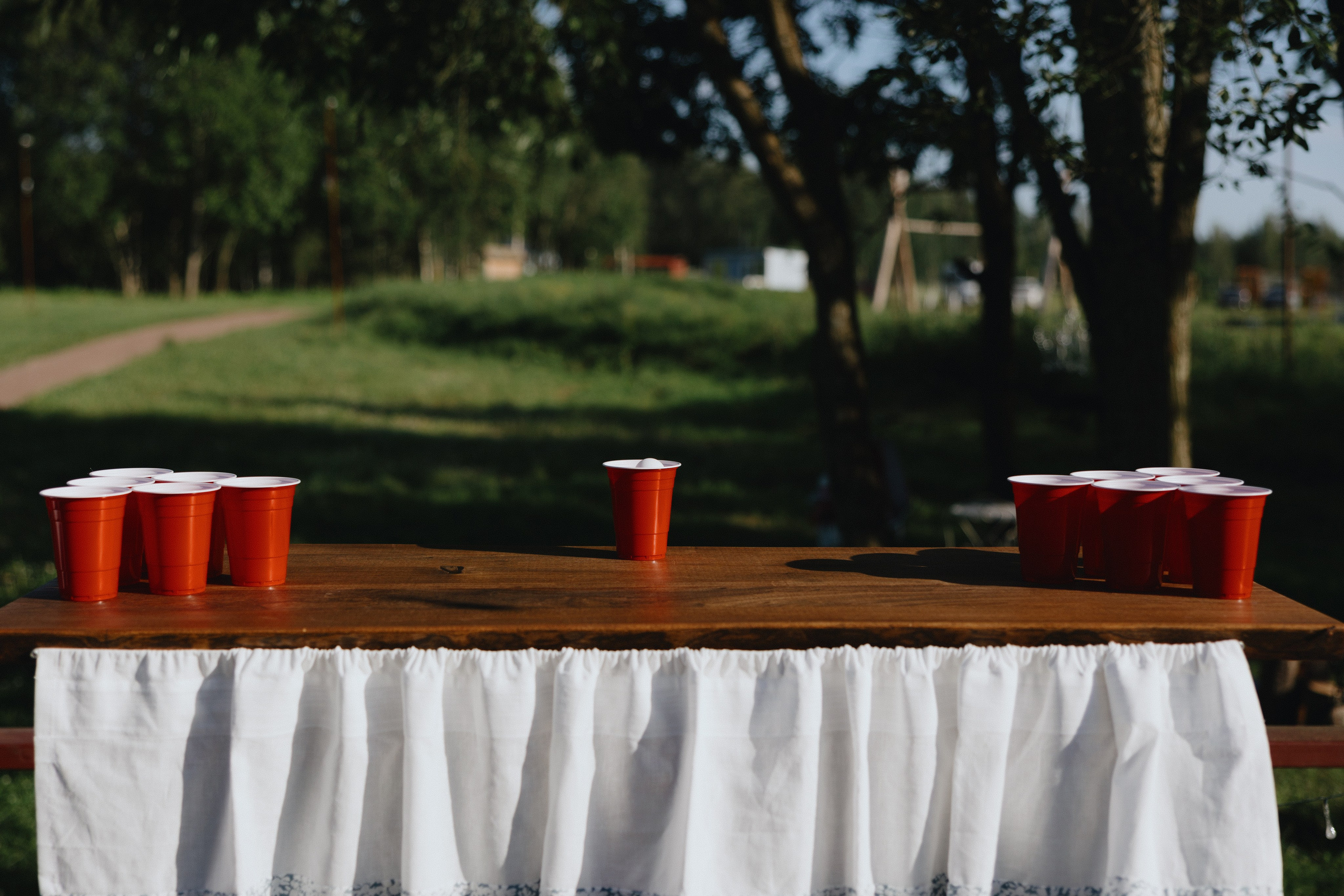 Эко вечеринка / 2025. Фотограф СПб