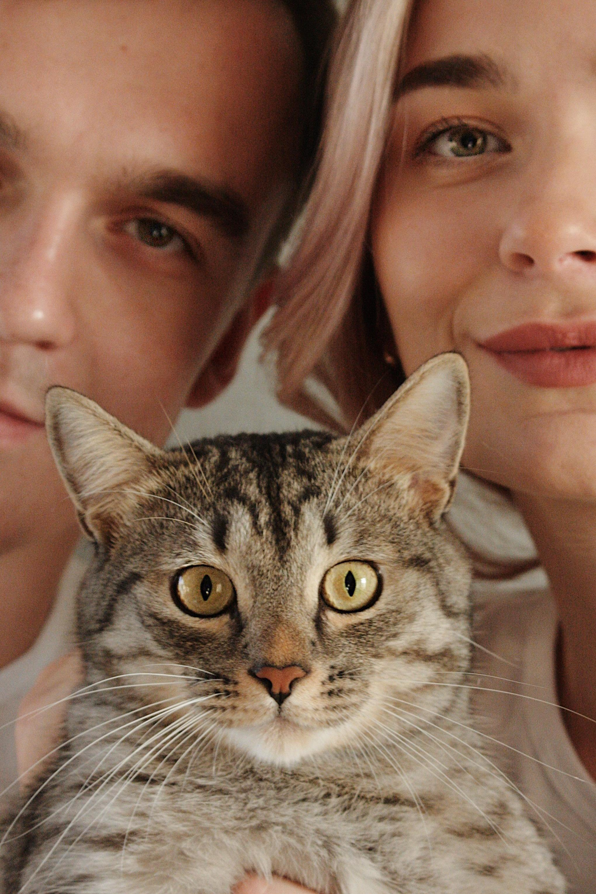 Парные/семейные. Портретный и свадебный фотограф в Орске Ксения Семененко