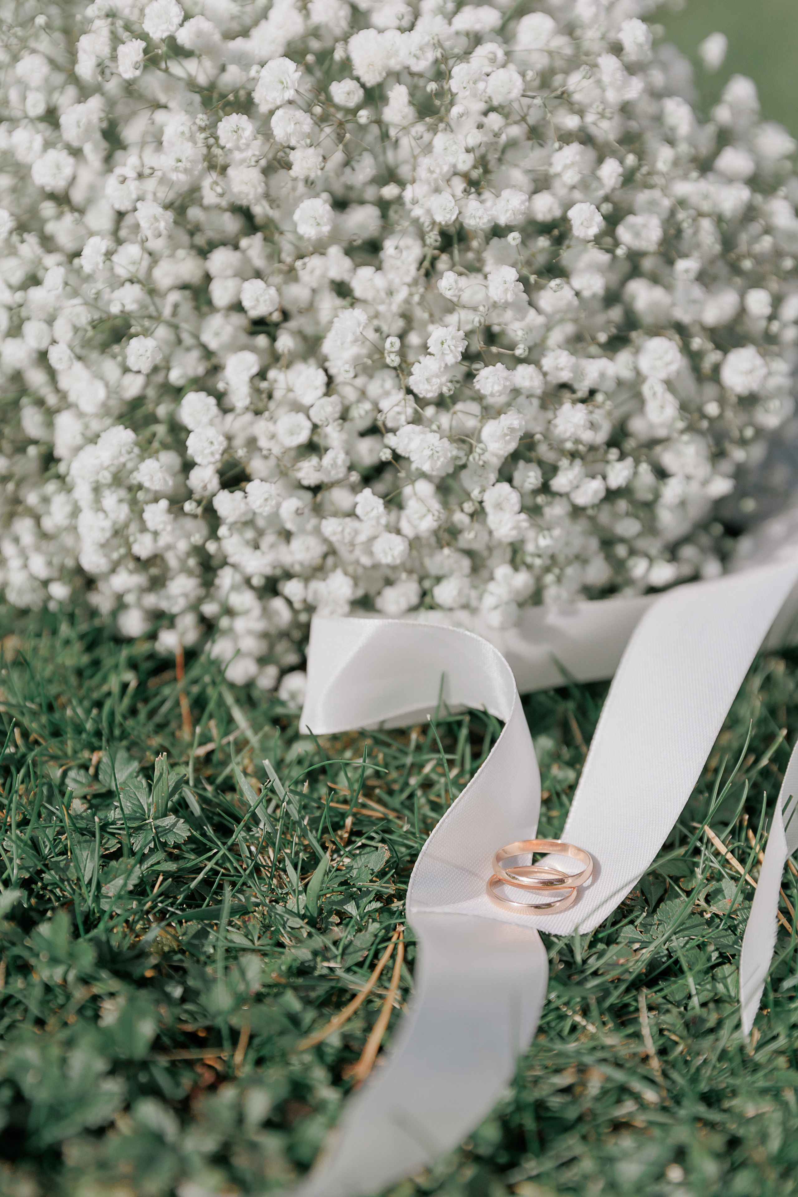 Свадьба Александра и Анна. Свадебный и семейный фотограф в Твери и Тверской области