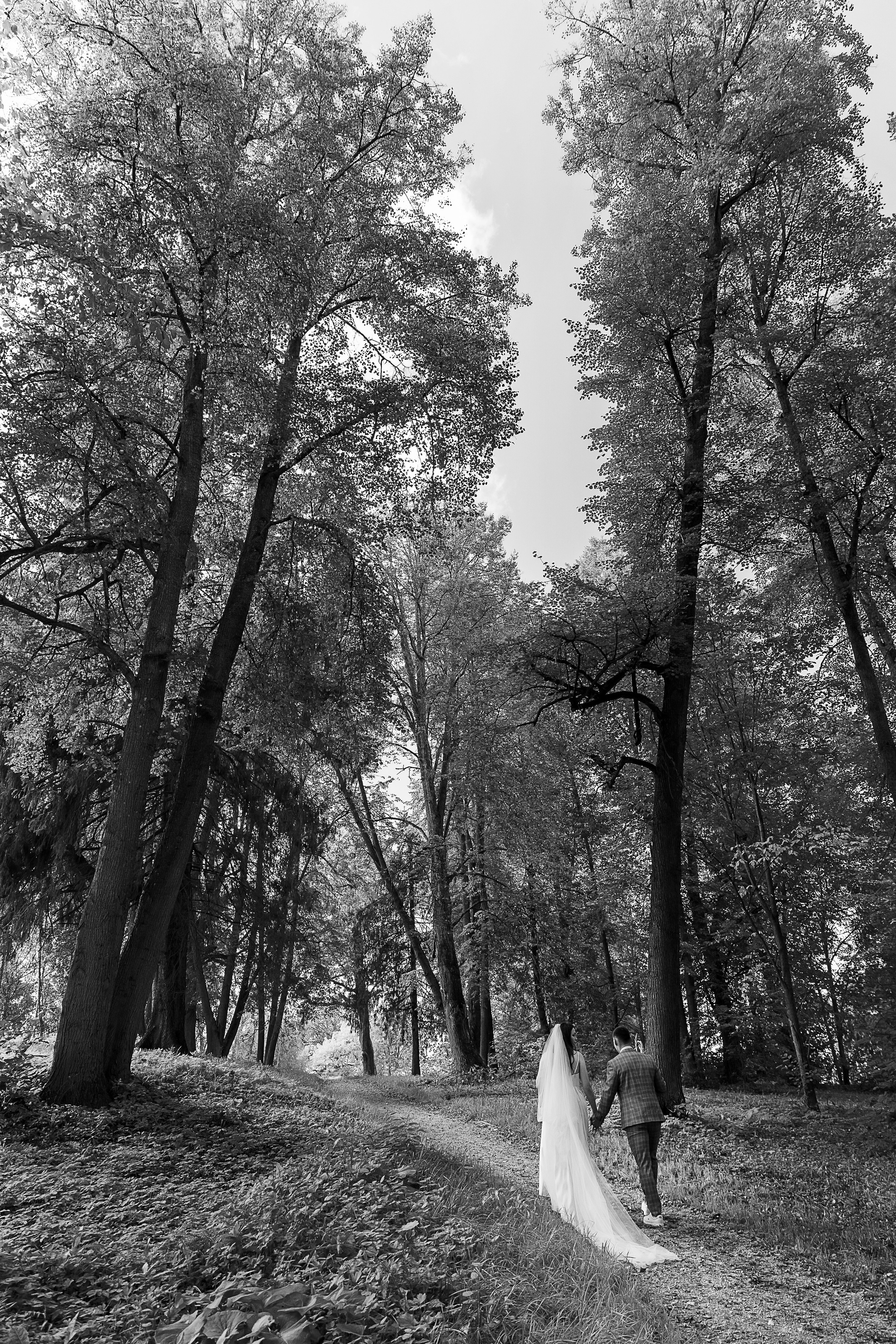 Свадьба Варвары и Максима. Свадебный и семейный фотограф в Твери и Тверской области