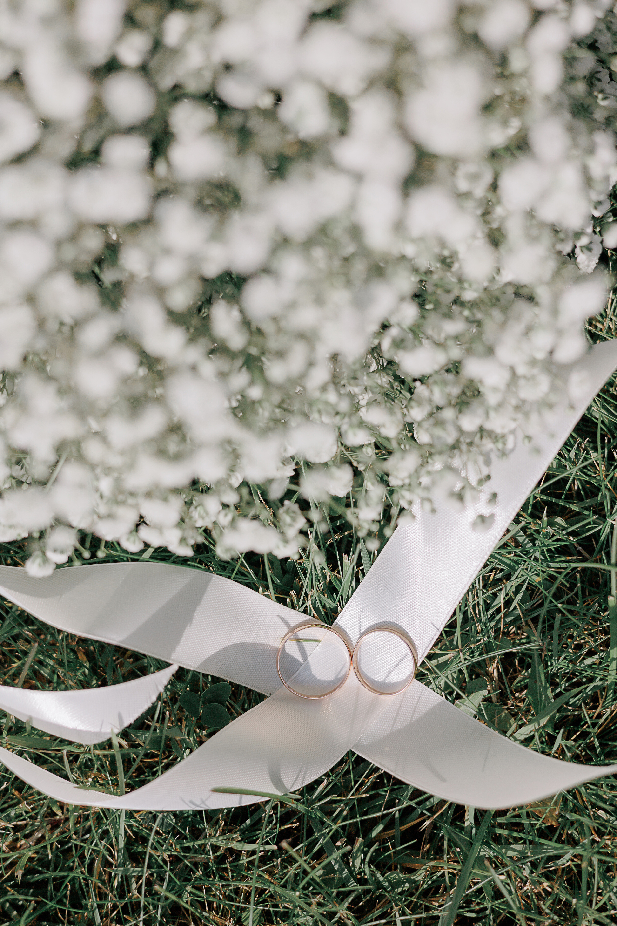 Свадьба Александра и Анна. Свадебный и семейный фотограф в Твери и Тверской области