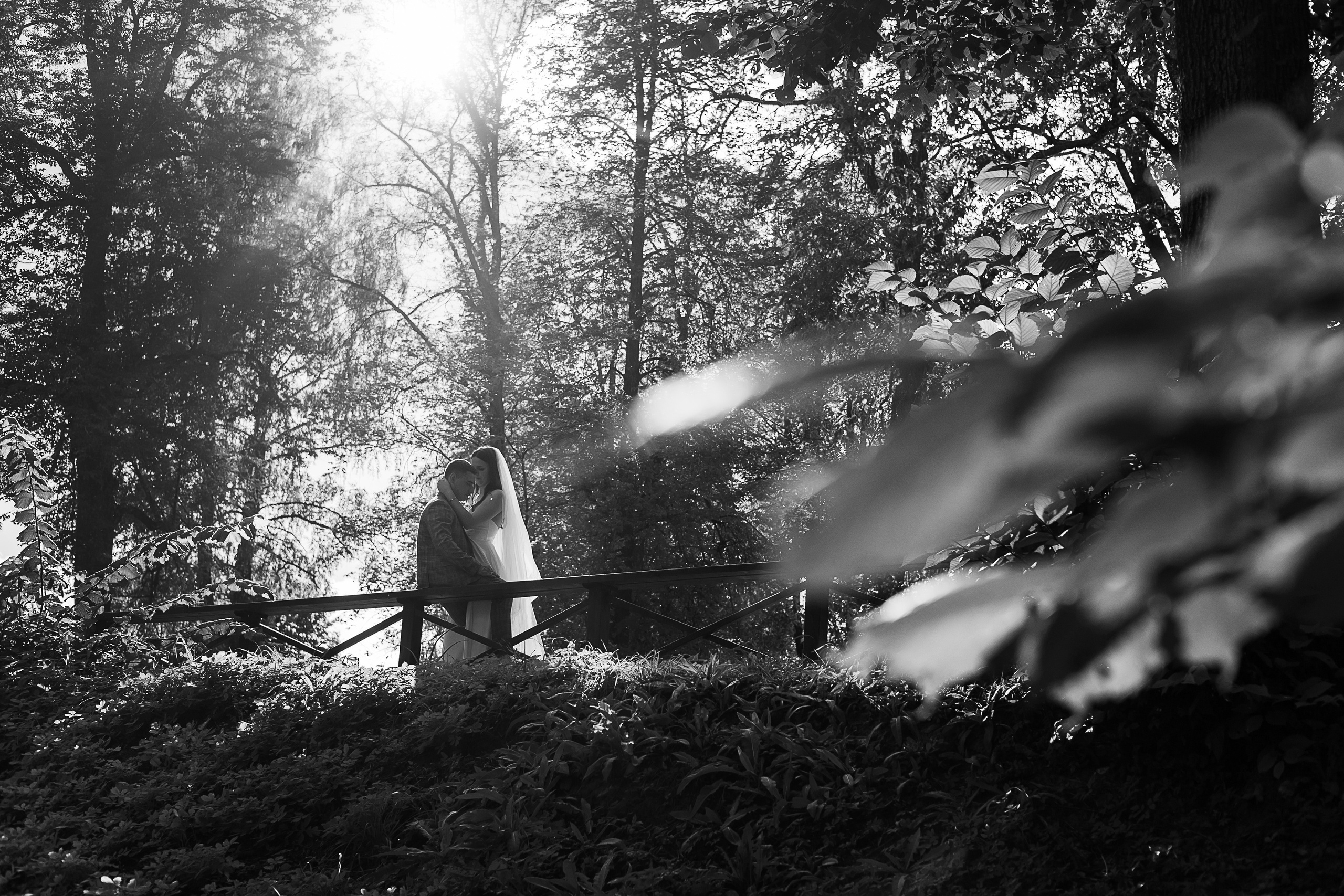 Свадьба Варвары и Максима. Свадебный и семейный фотограф в Твери и Тверской области