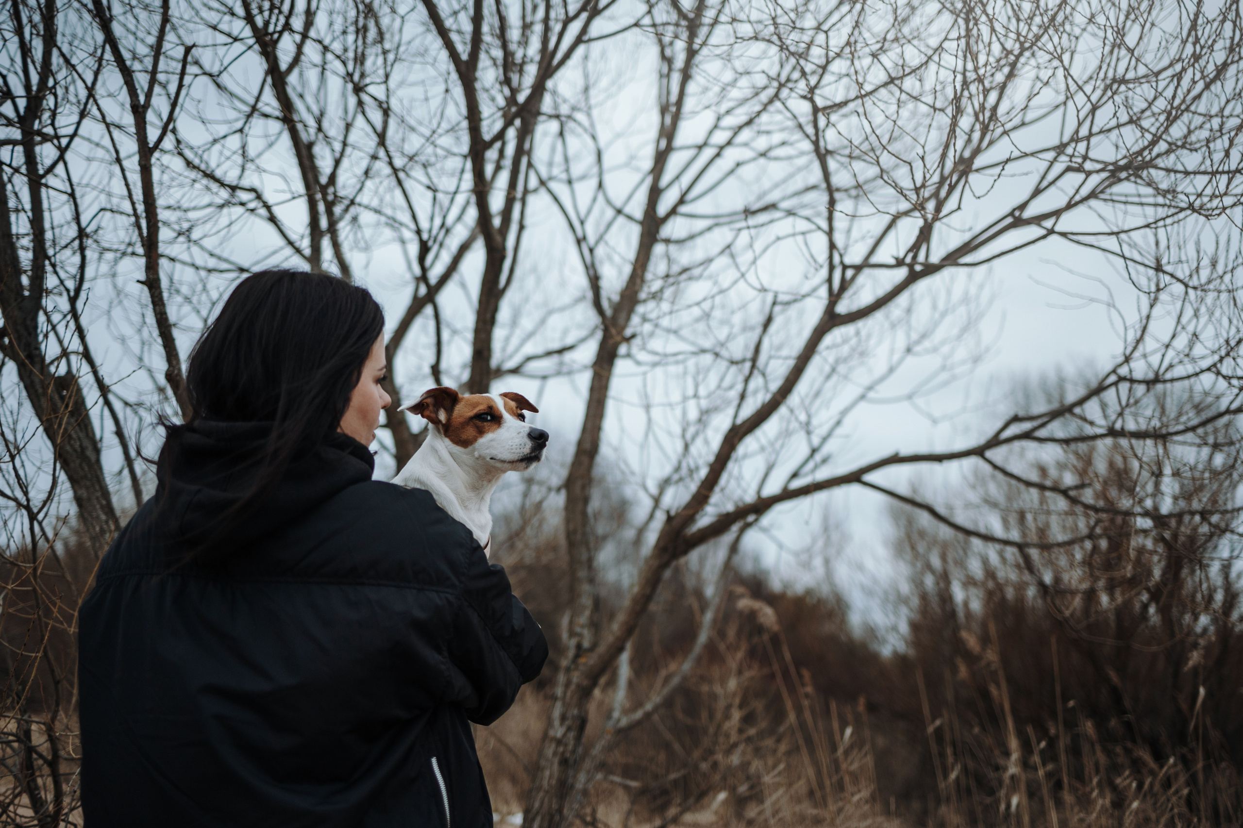 Саша и Джеки. Фотограф — Анималист | Санкт-Петербург
