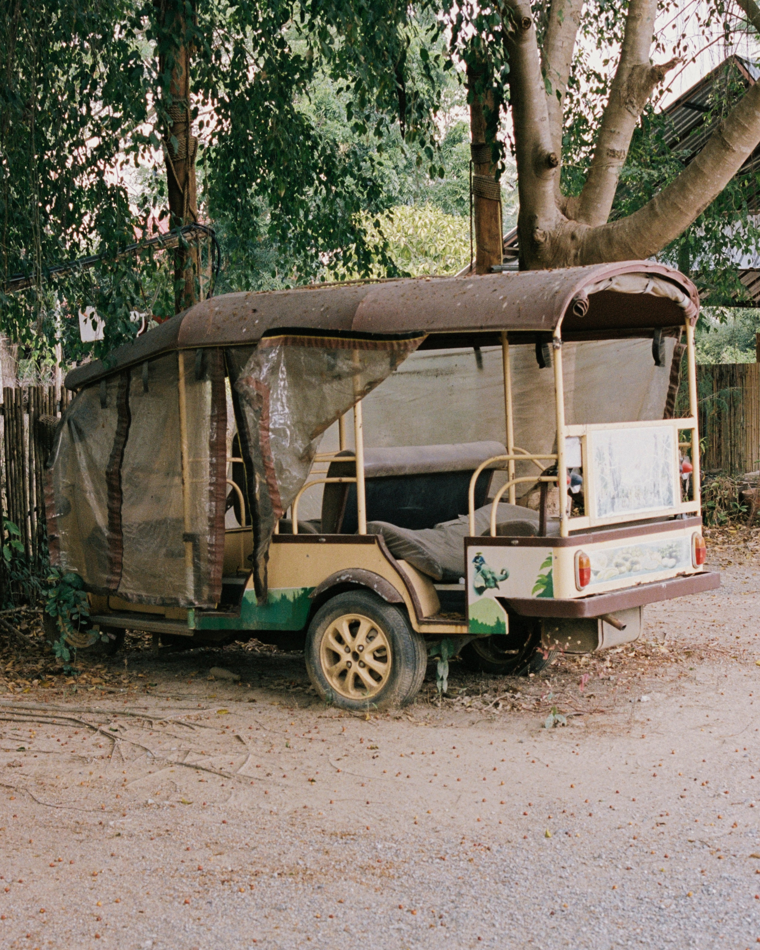 Thailand. Kirill Shashkov