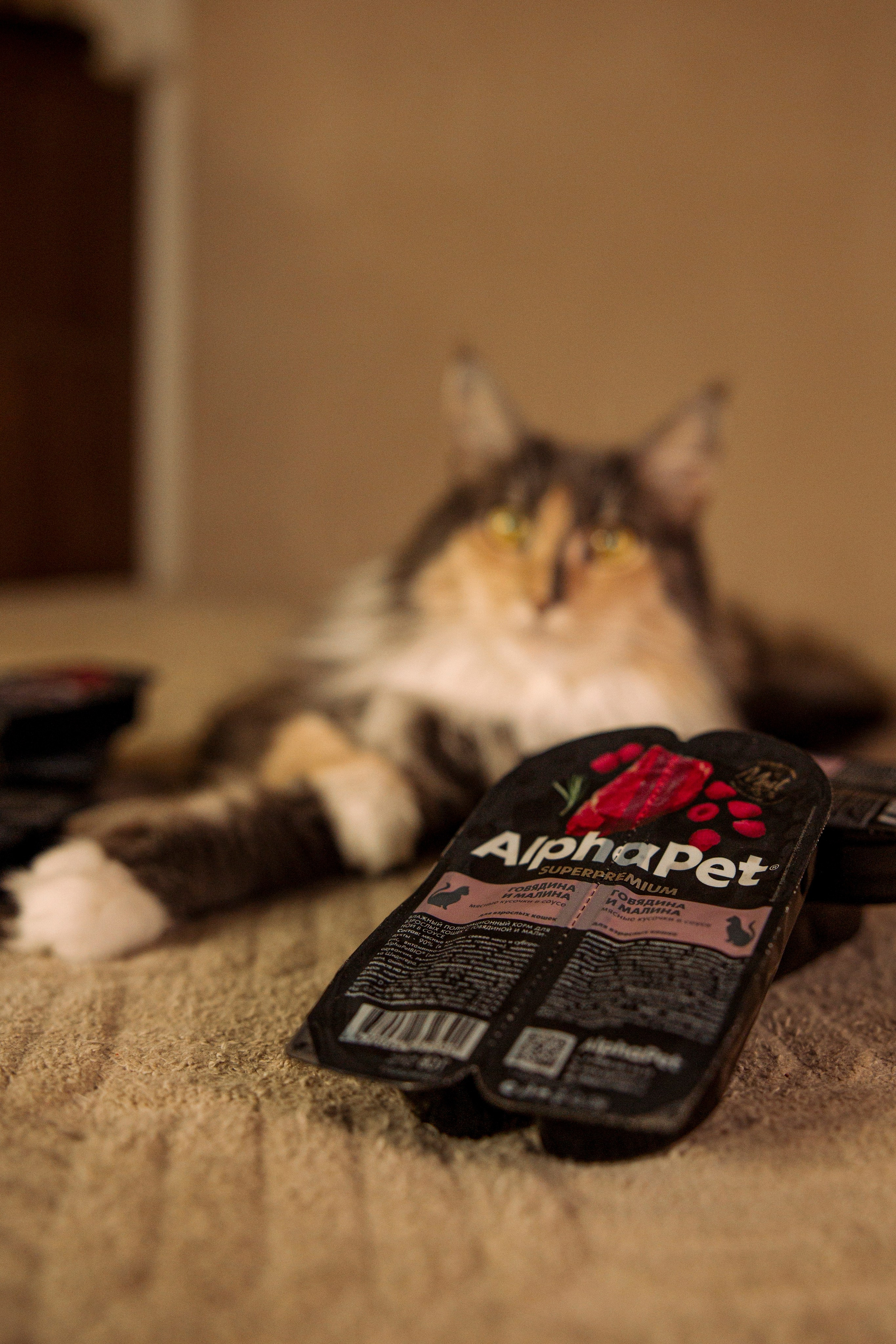 Корм AlphaPet. Анастасия Белаш