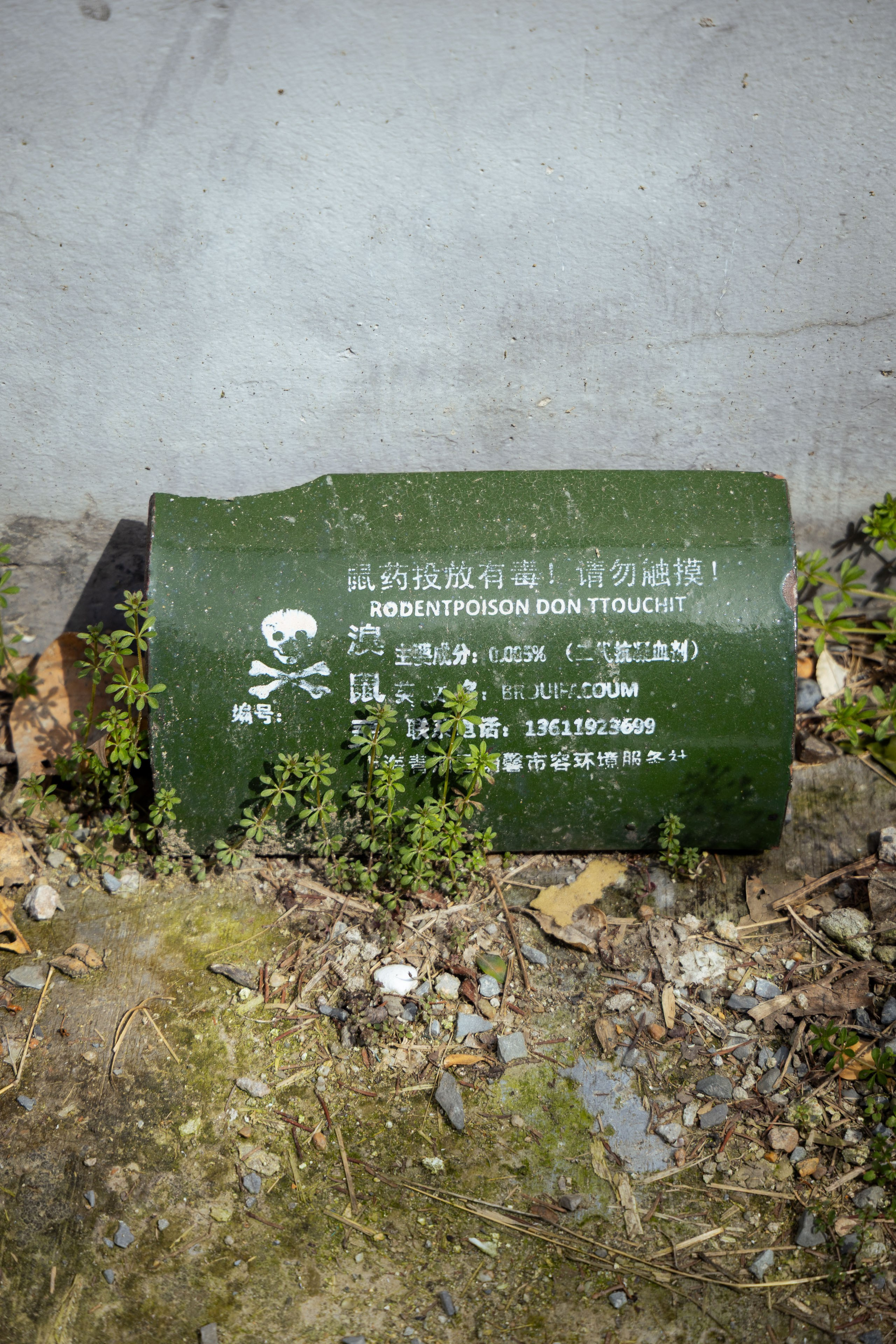 Шанхай (март 2026). Фотограф Виноградов Константин