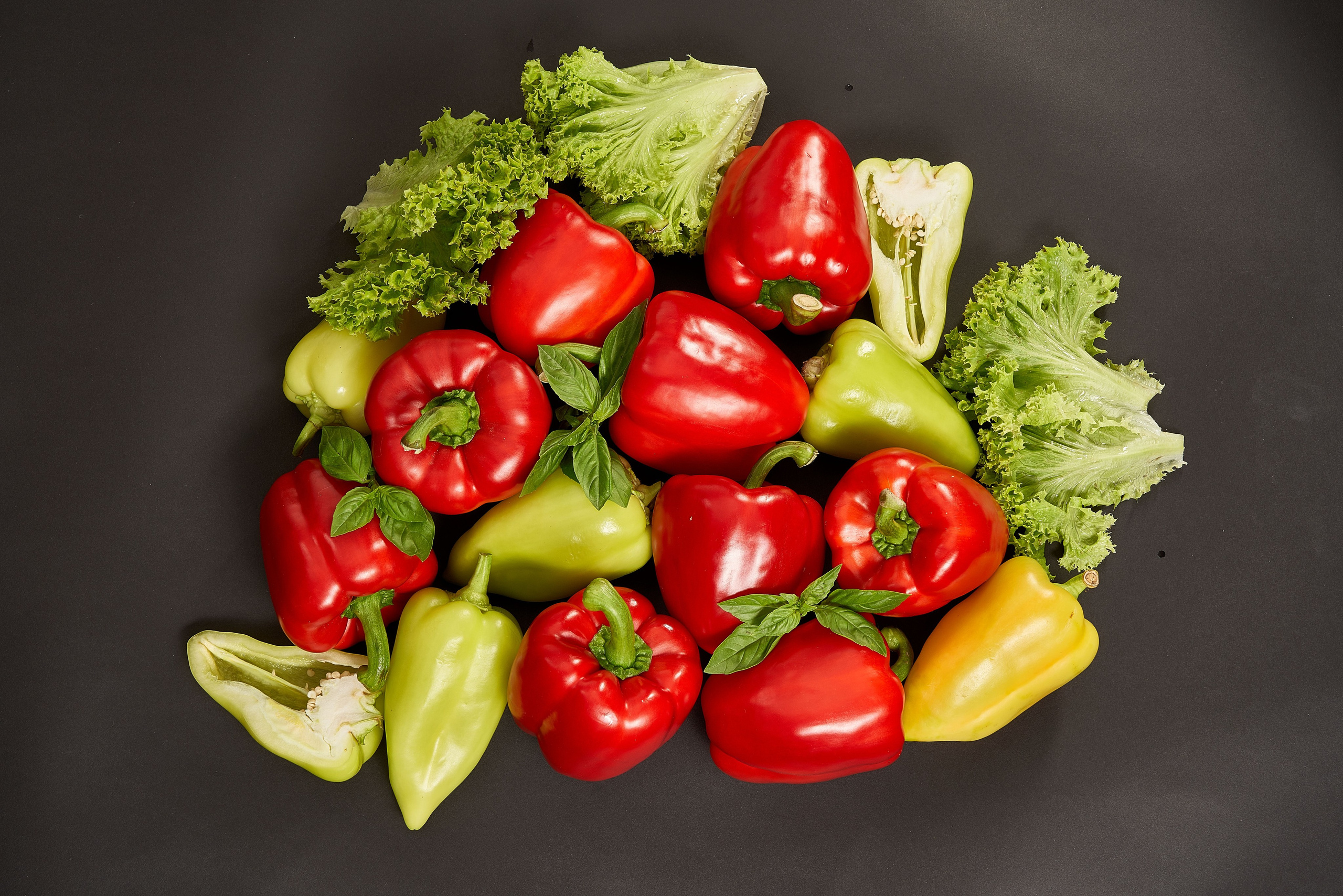 Without PROCESSING. Max Matvich and Victoria Basova are professionals in their field