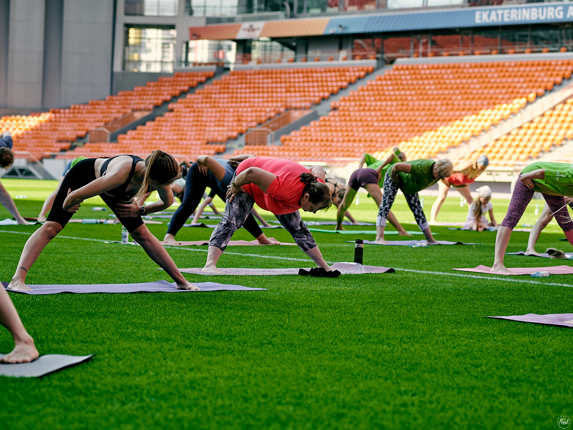 Yoga Day 2021. Фотографии отовсюду и обо всем