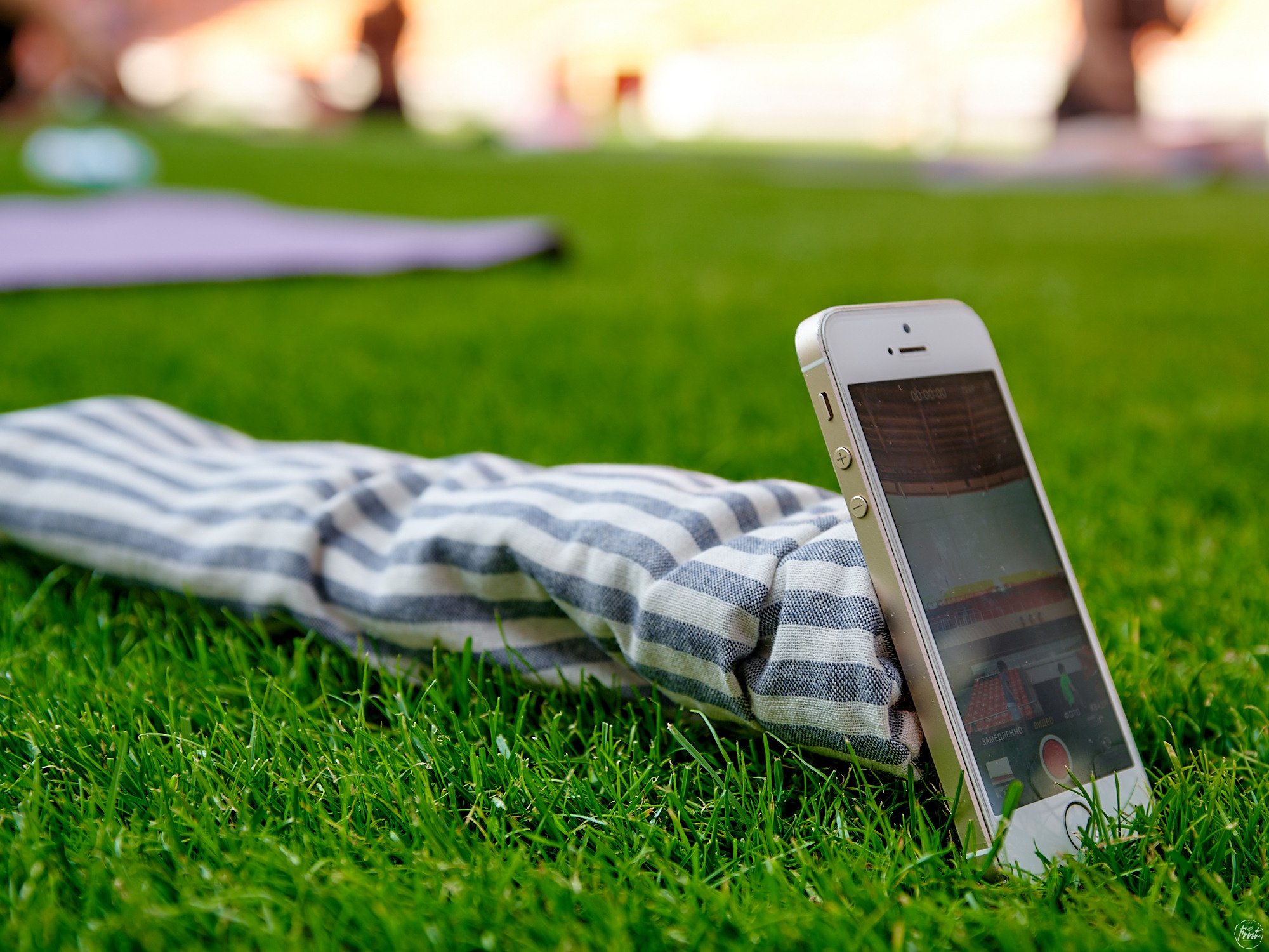 Yoga Day 2021. Фотографии отовсюду и обо всем