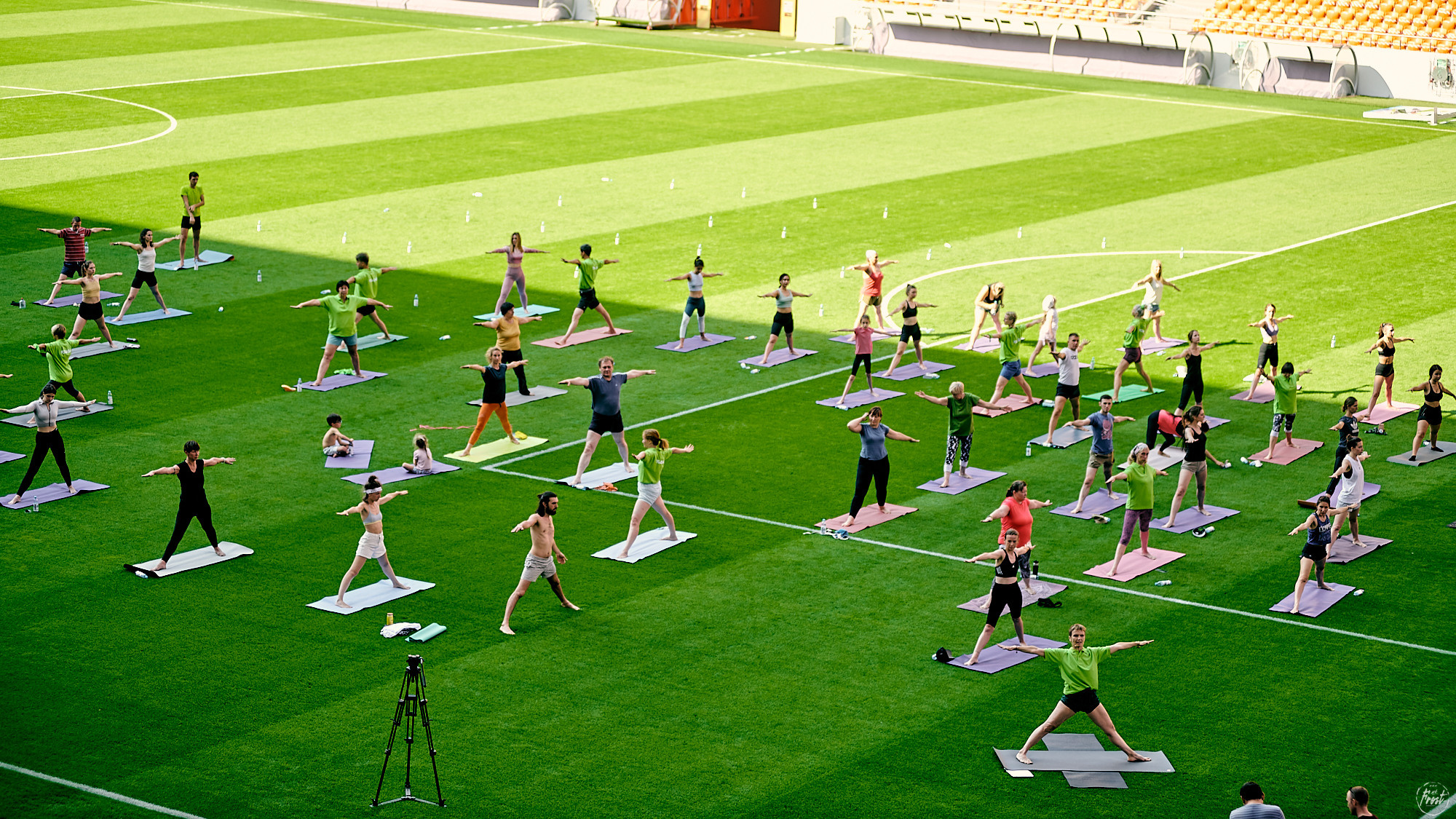 Yoga Day 2021. Фотографии отовсюду и обо всем