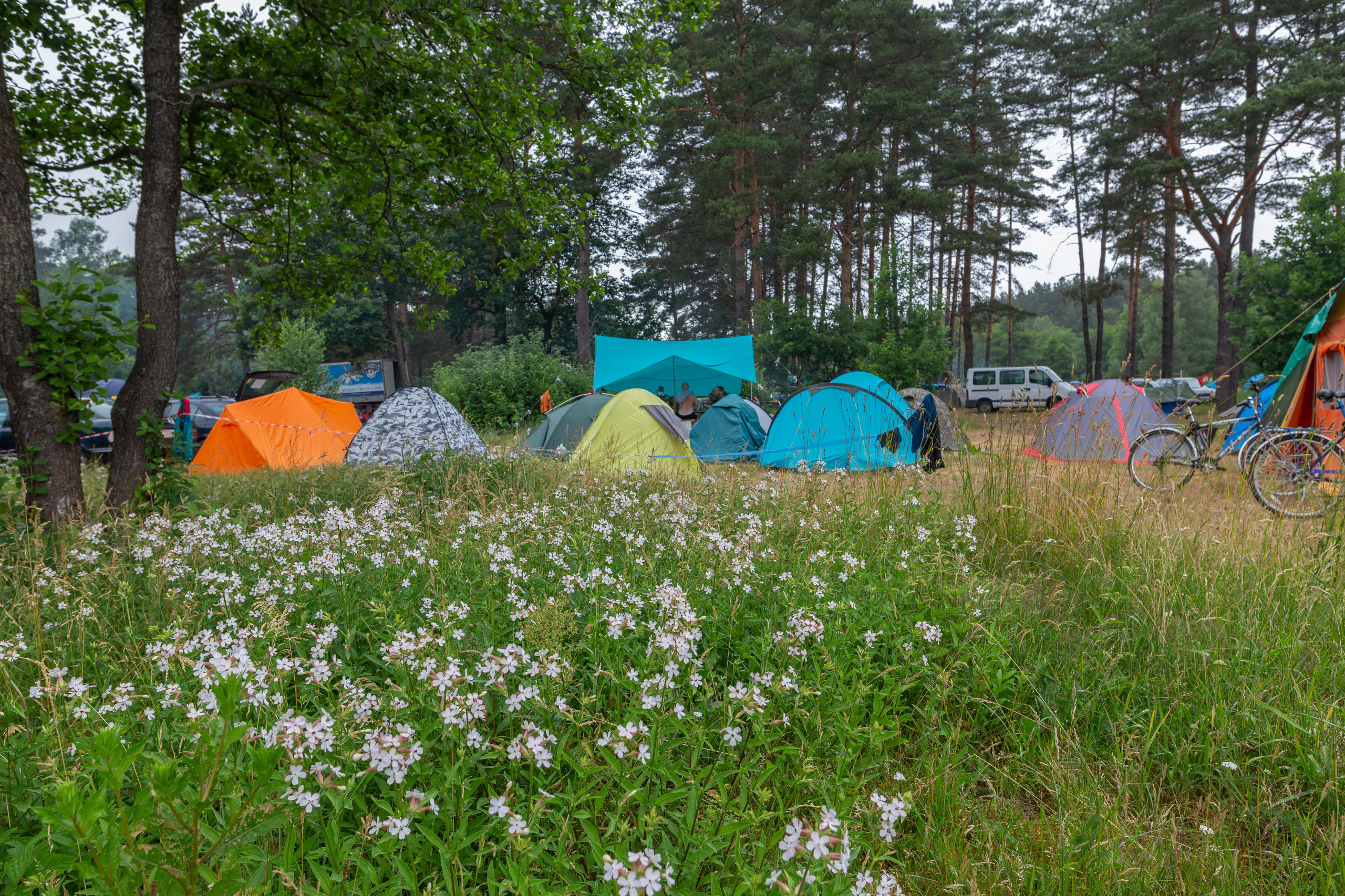Хорошие туристы дома не валяются.... Фотограф Евгений Стельмах в Молодечно и Минске
