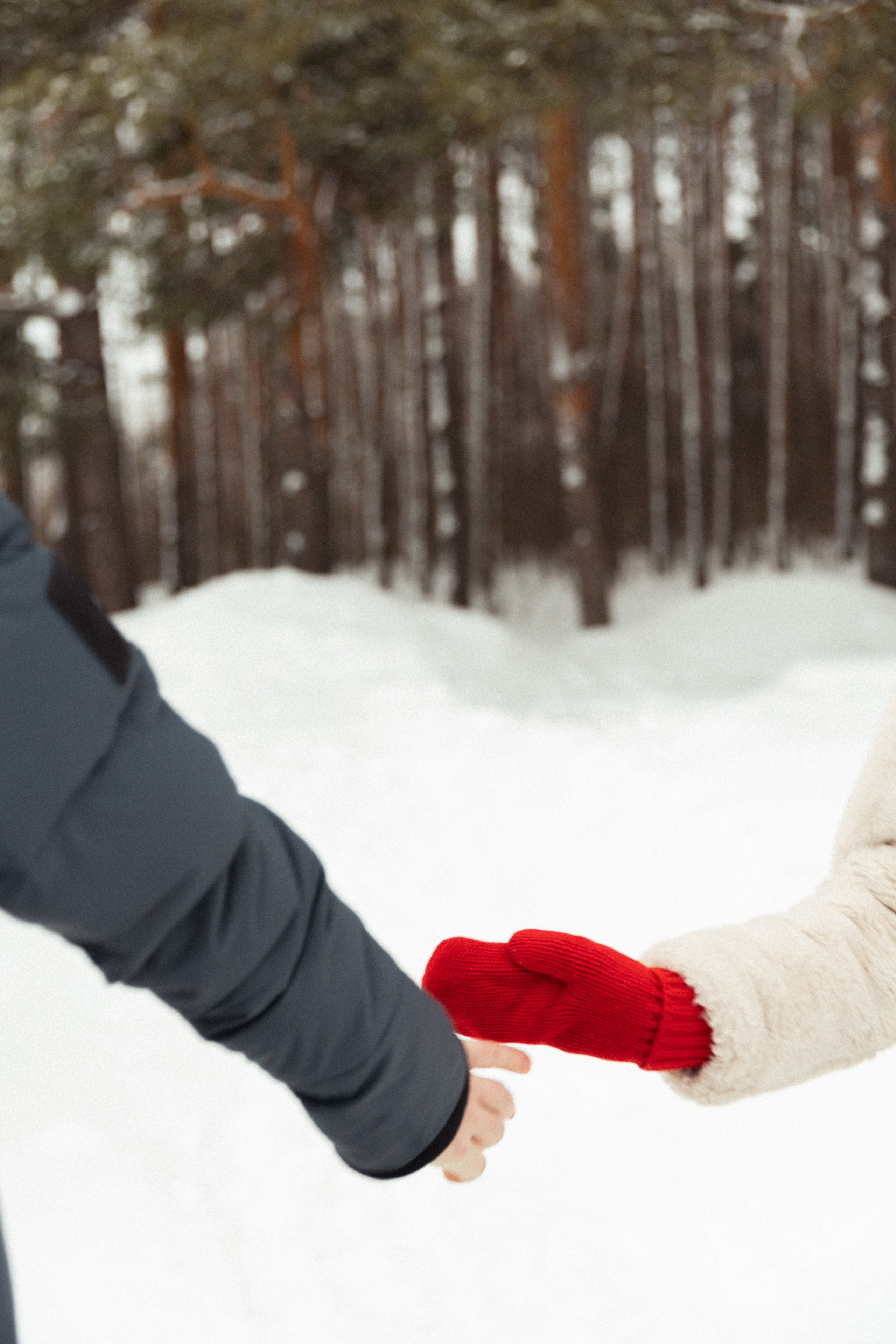 Лиза и Данила. Фотограф в Нижнем Новгороде Воробьева Анжела