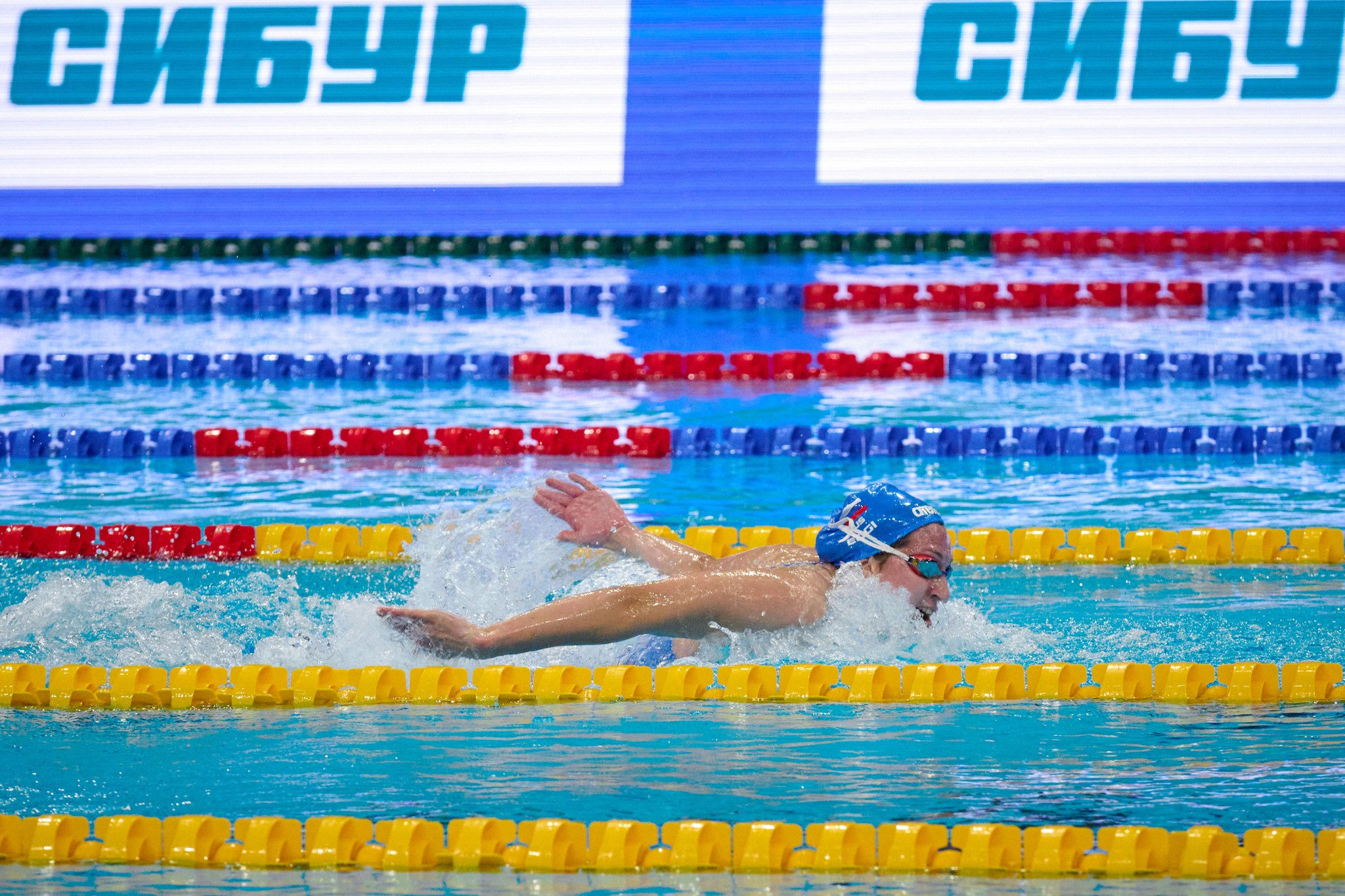 Кубок России по плаванию 2024 г. Екатеринбург. Мезенцев Евгений фотограф