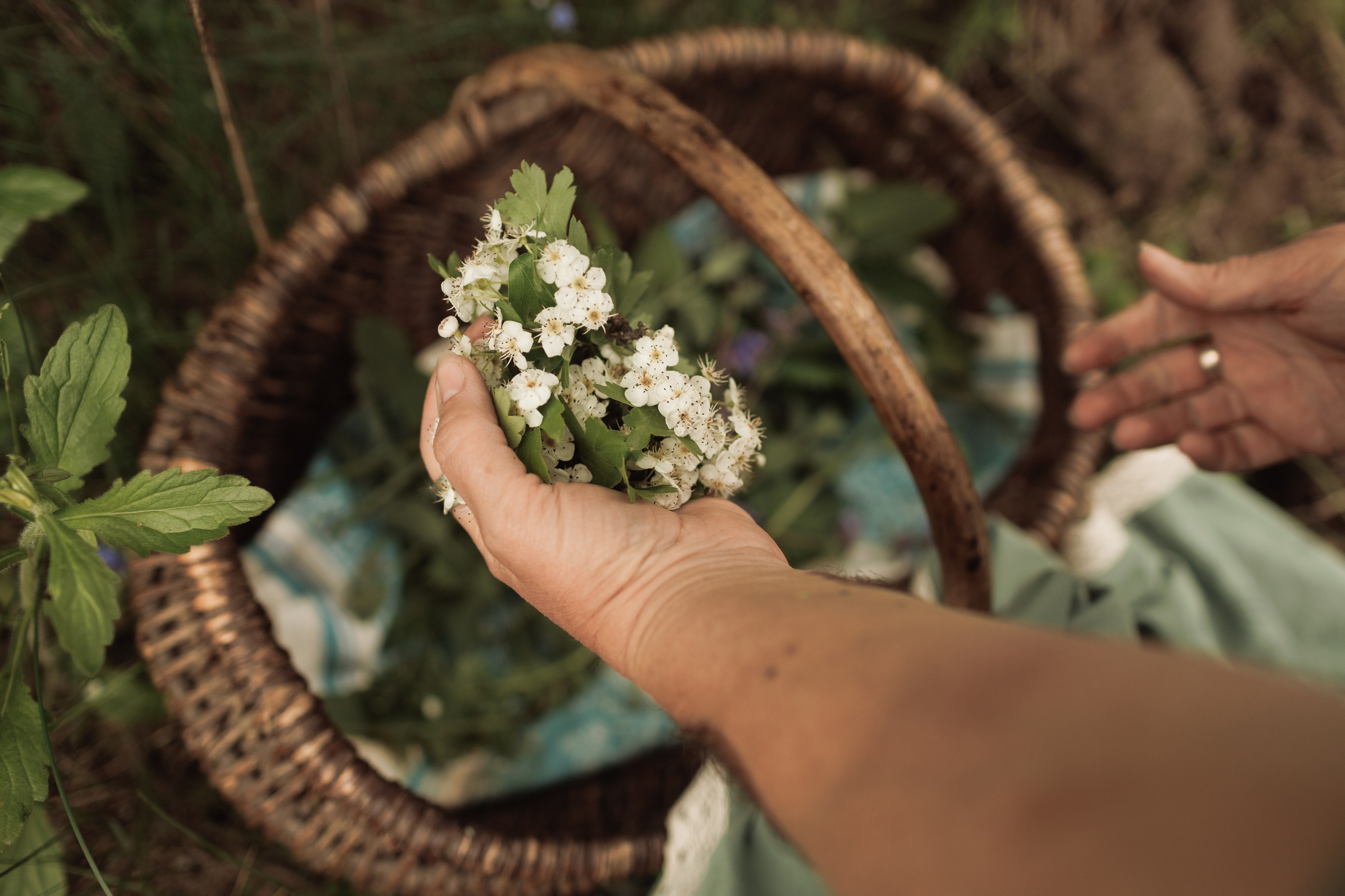 Вита. Портретный и свадебный фотограф в Белгороде Глухова Кристина
