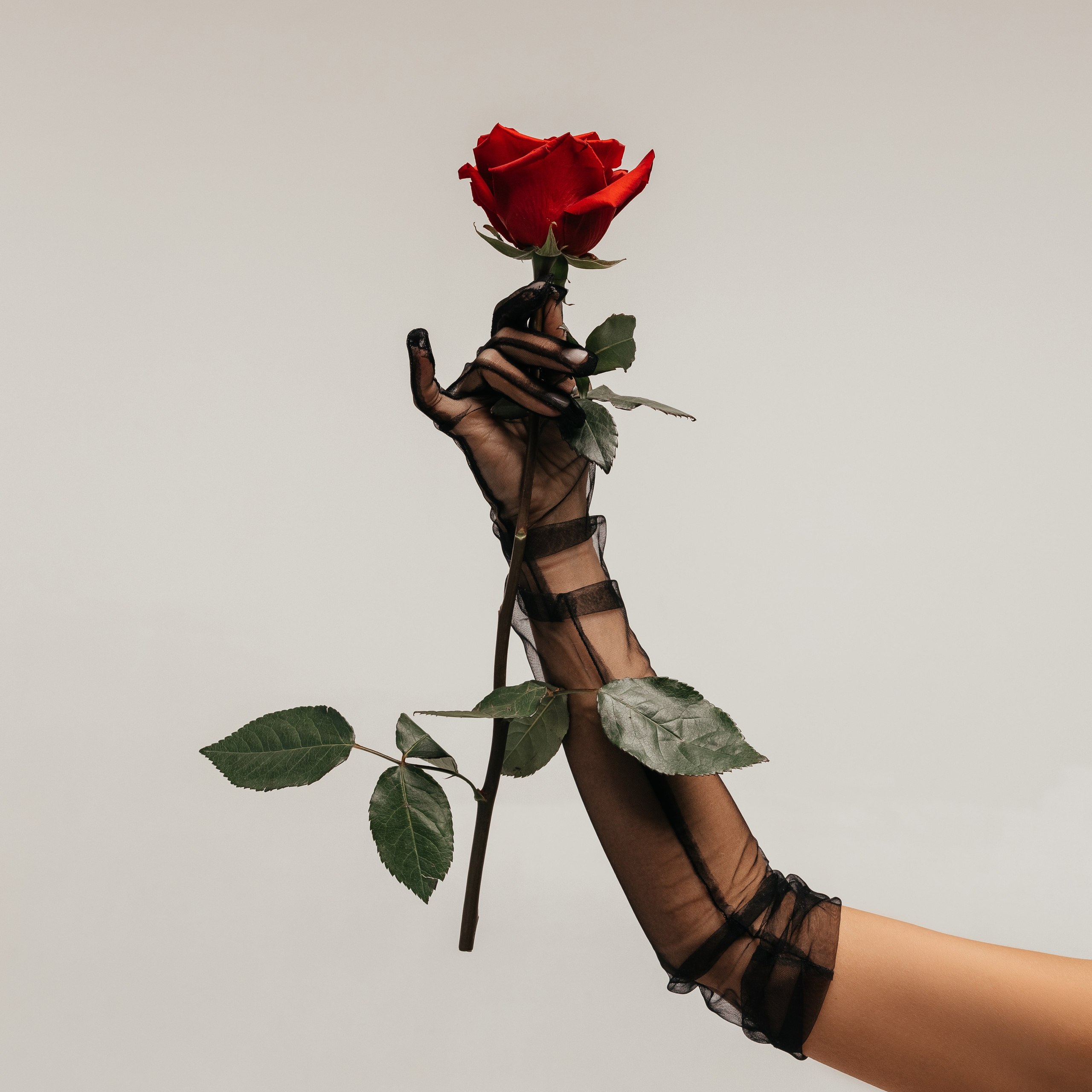 Студия лазерной эпиляции. Миленина Юлия Свадебный и семейный фотограф в Краснодаре