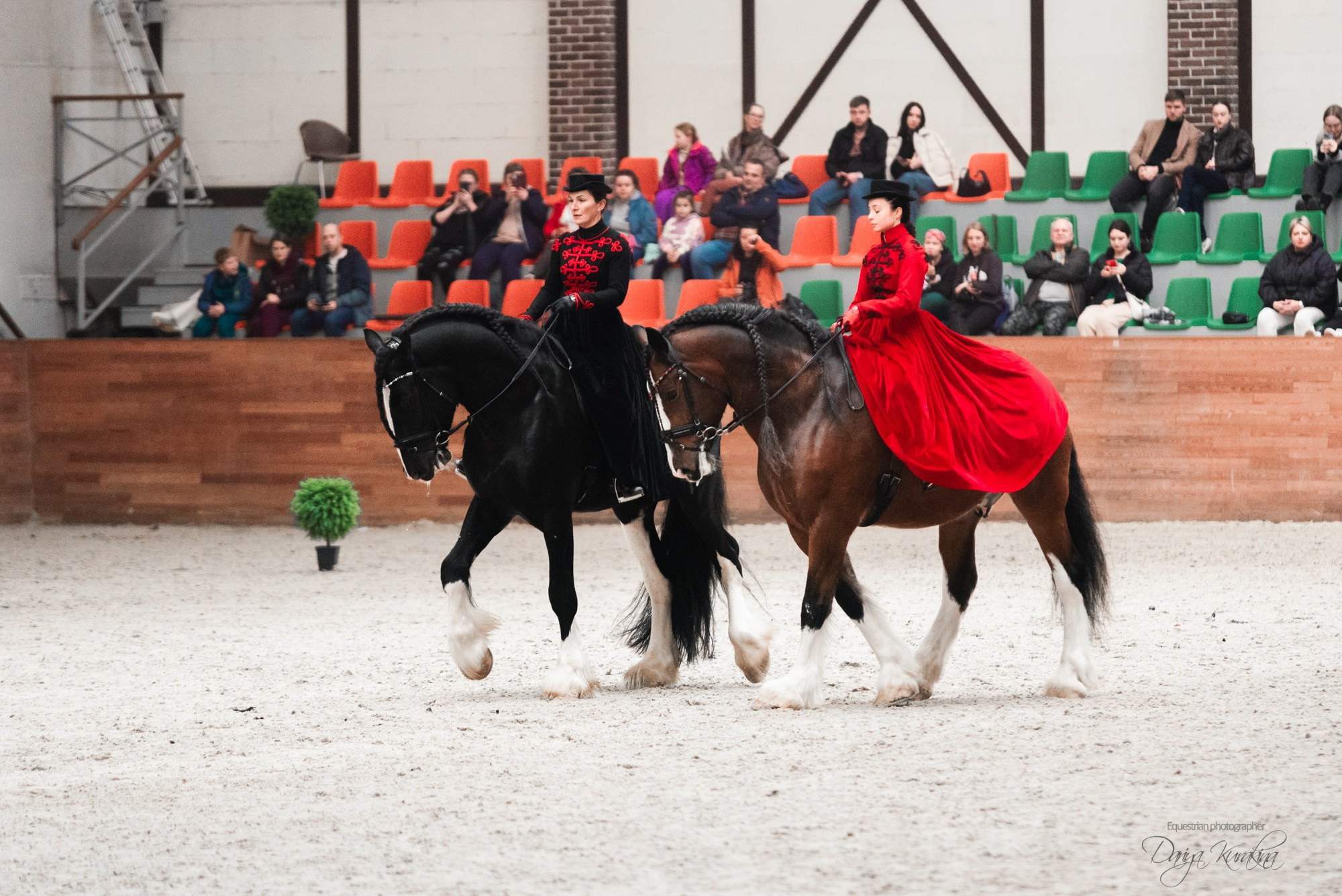 8-я международная выставка Конная Россия. Конный фотограф Куракина Дарья • Фотосессии с лошадьми