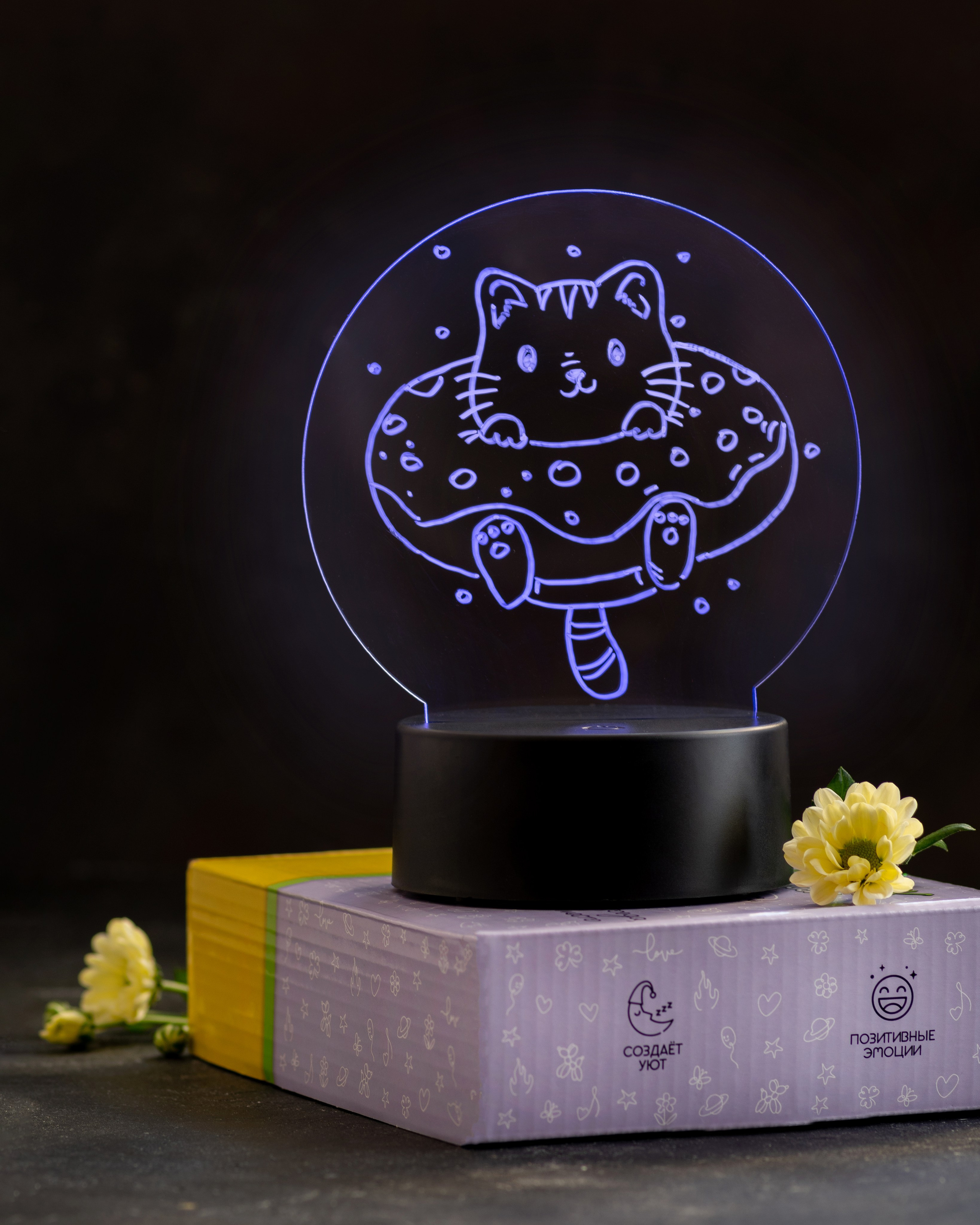 Ночник. Сандуца Мила — фотография со смыслом и душой