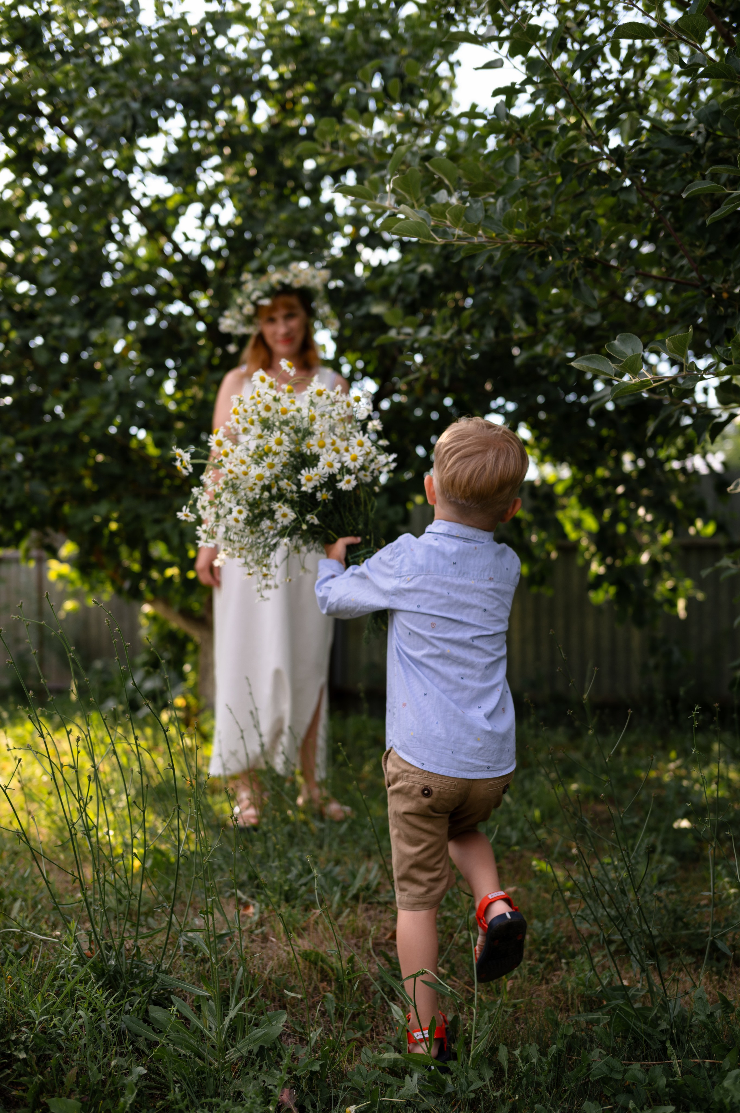 Ромашки и утята. Главная