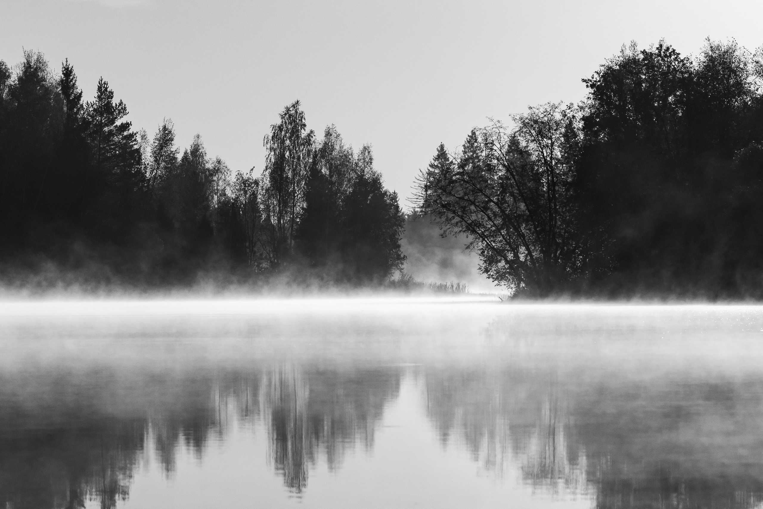 Природа. Фотограф Владимир Охрименко