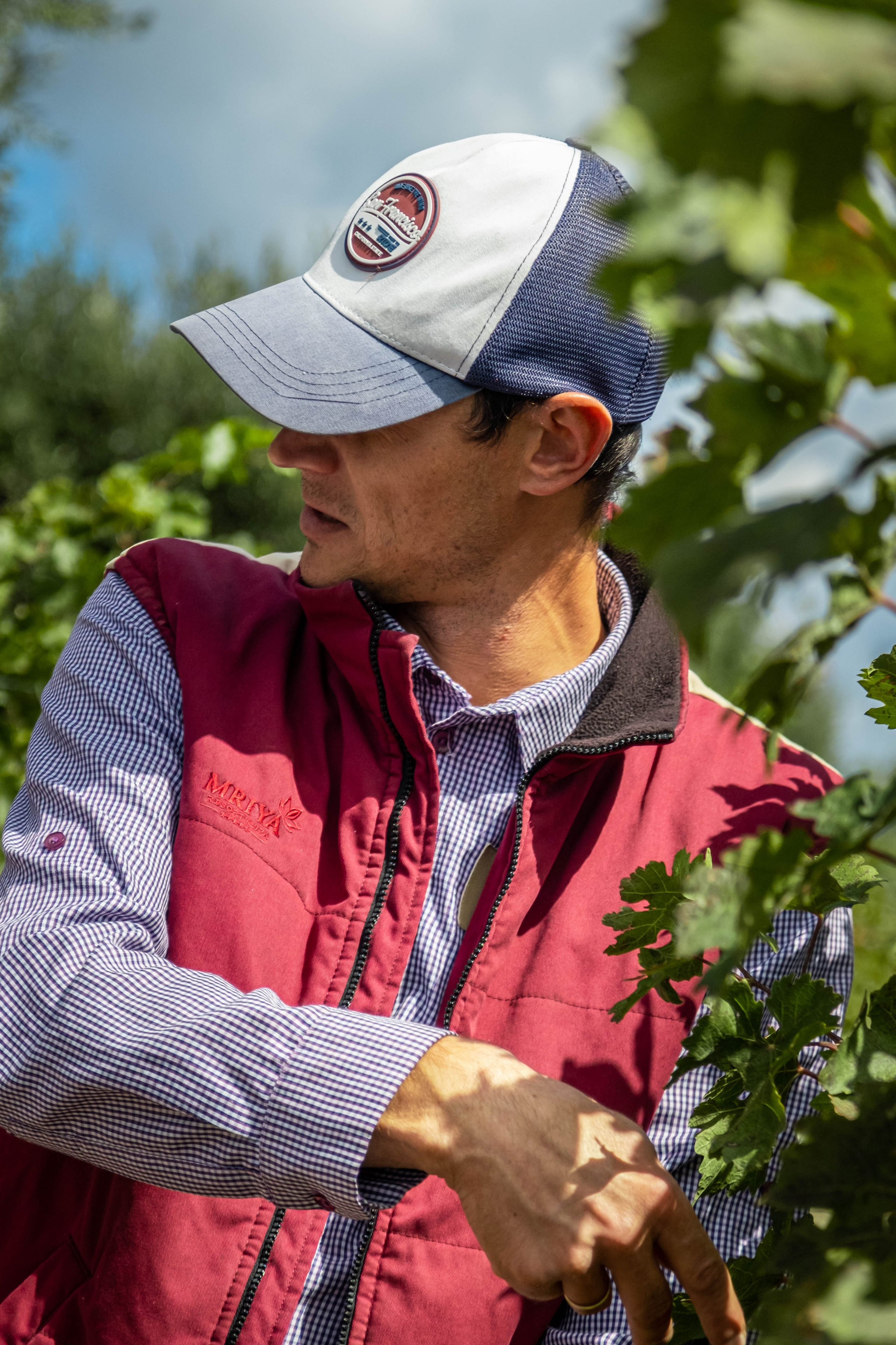 Портфолио. Сайт фотографа Дмитрия Батенёва