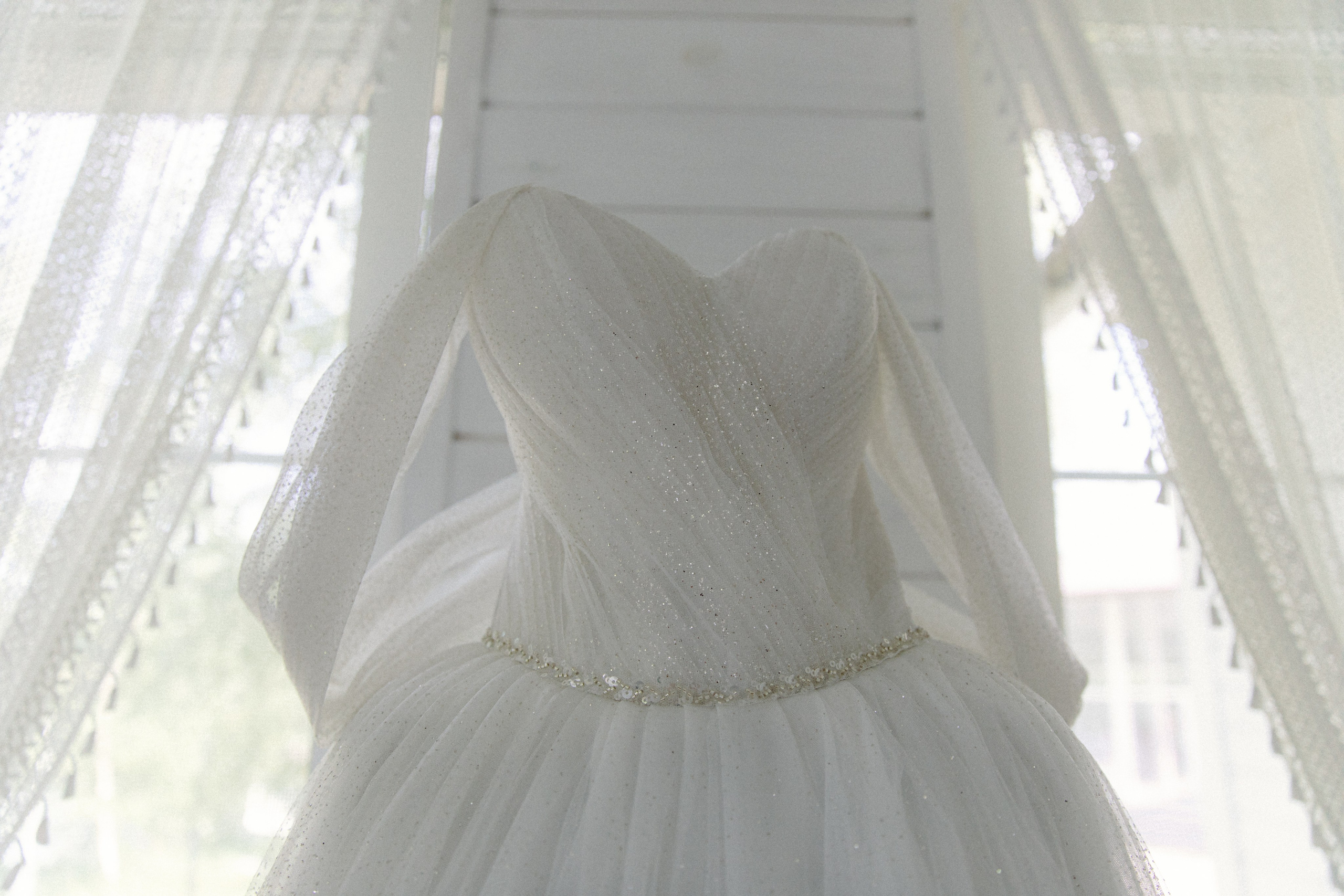 Dog Friendly. Свадебный и репортажный фотограф