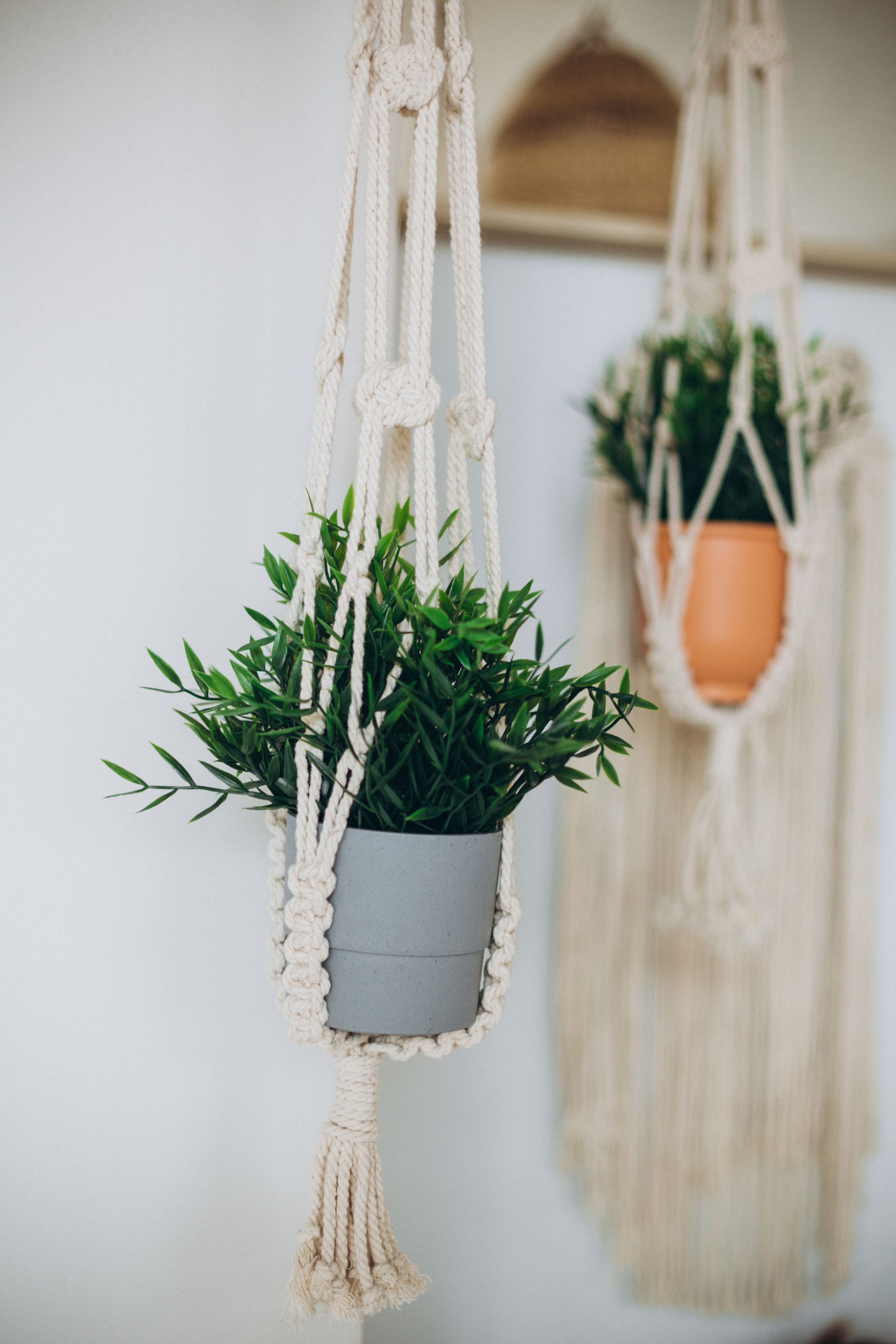 Семейная съемка Алексея, Алёны и Ани. Свадебный и семейный фотограф в Санкт-Петербурге Яцына Юрий. Видеоопер