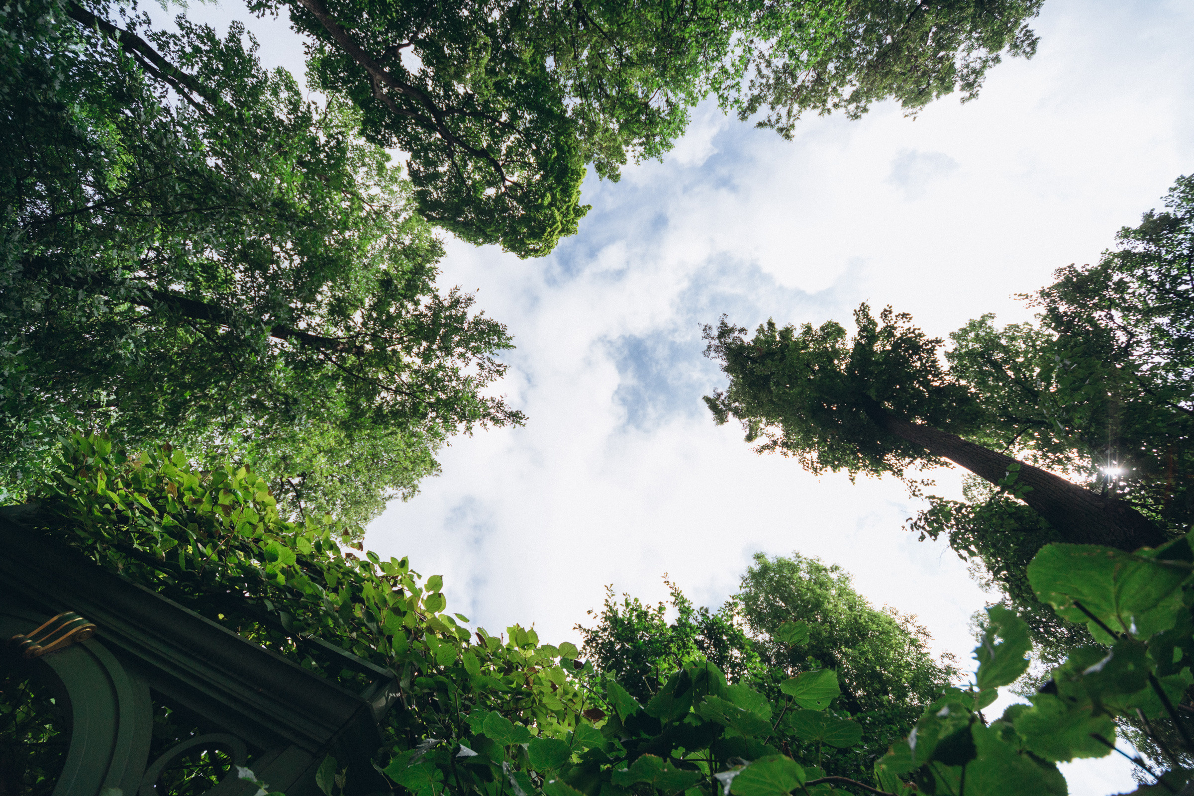 Свадебная съёмка Ильи и Дарии. Свадебный и семейный фотограф в Санкт-Петербурге Яцына Юрий. Видеоопер