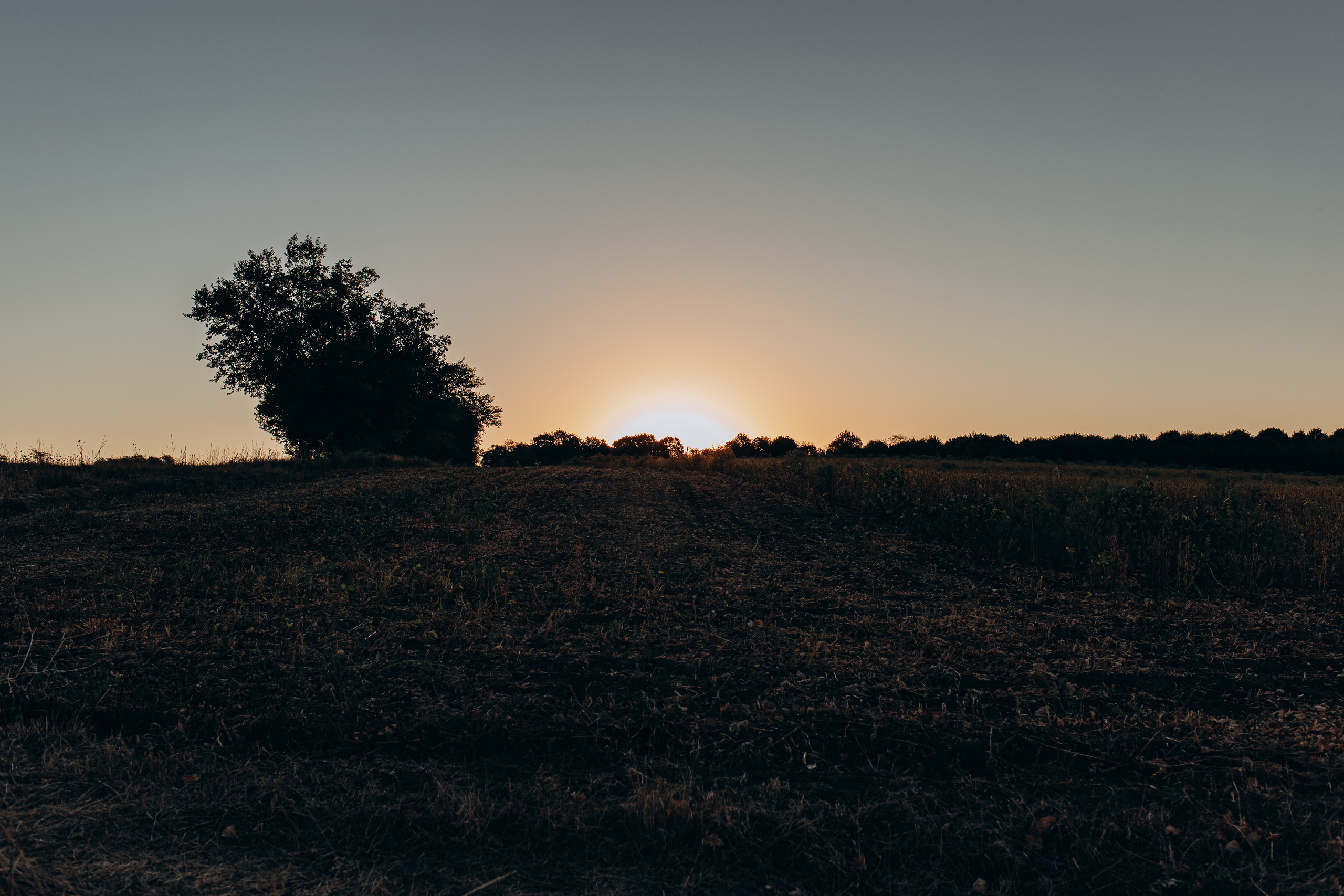 Рассветы 2020. Фотограф Новокубанск Армавир Федосеева Алина