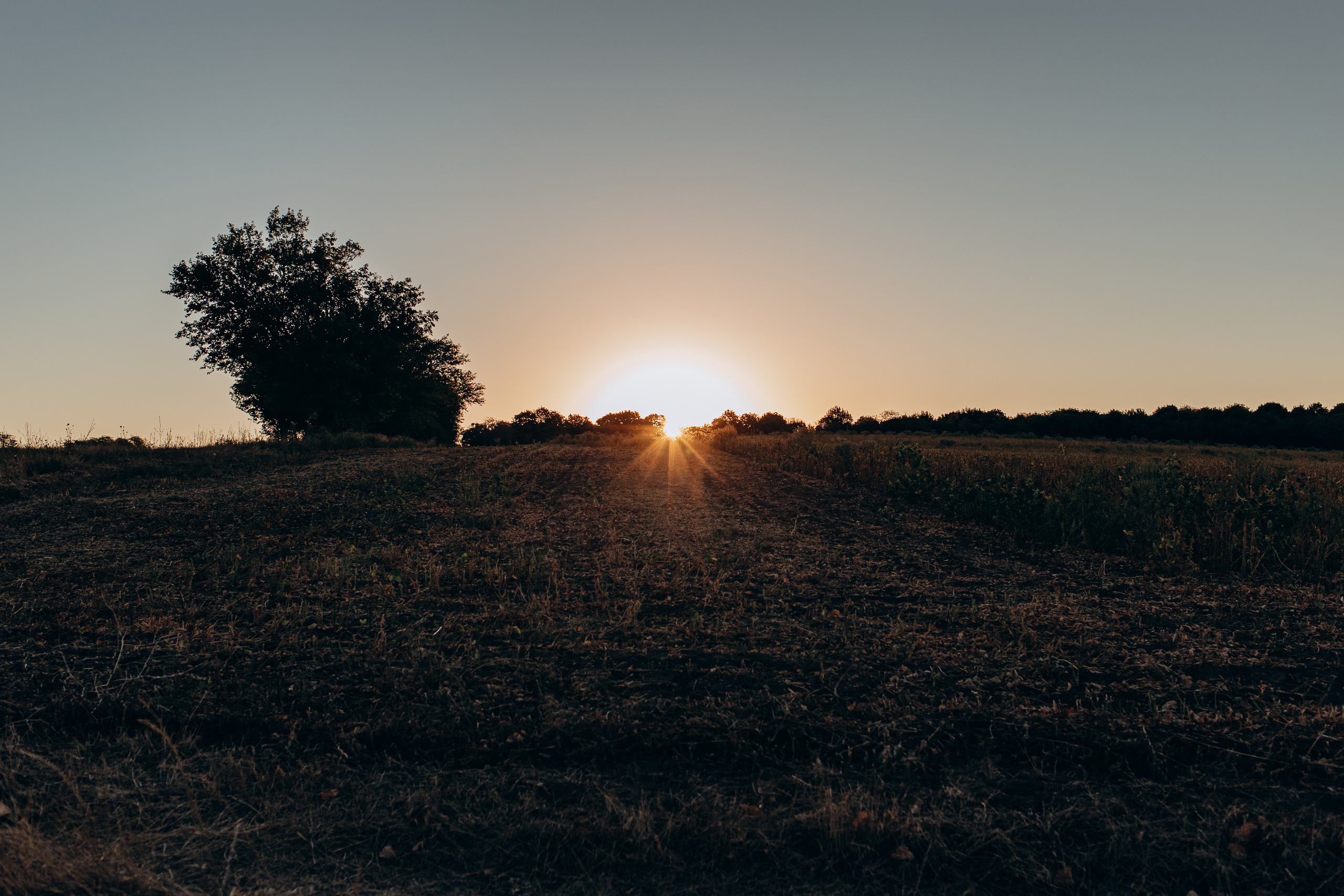 Рассветы 2020. Фотограф Новокубанск Армавир Федосеева Алина