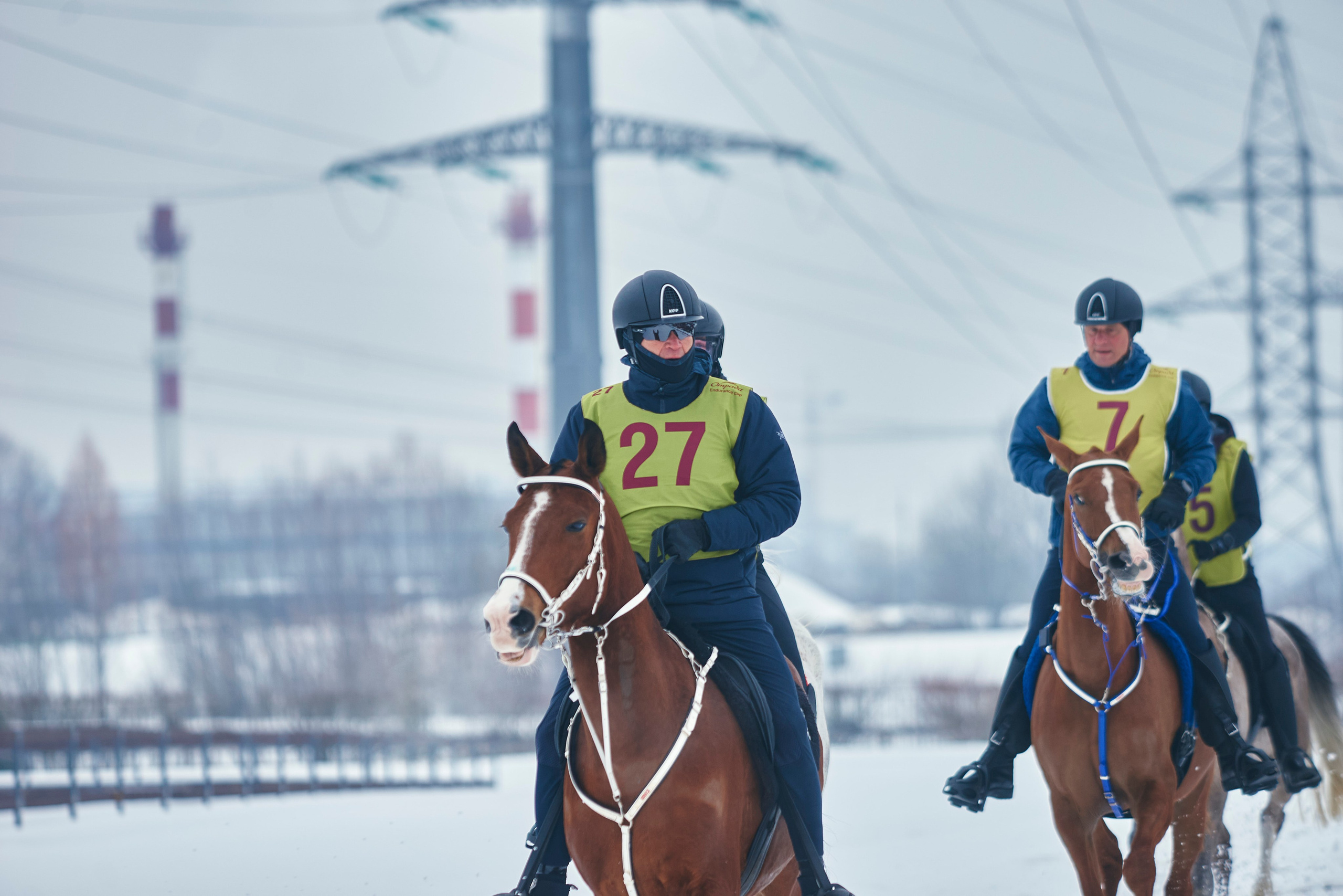 HORSE RACING. Фотограф Наталья Леонова