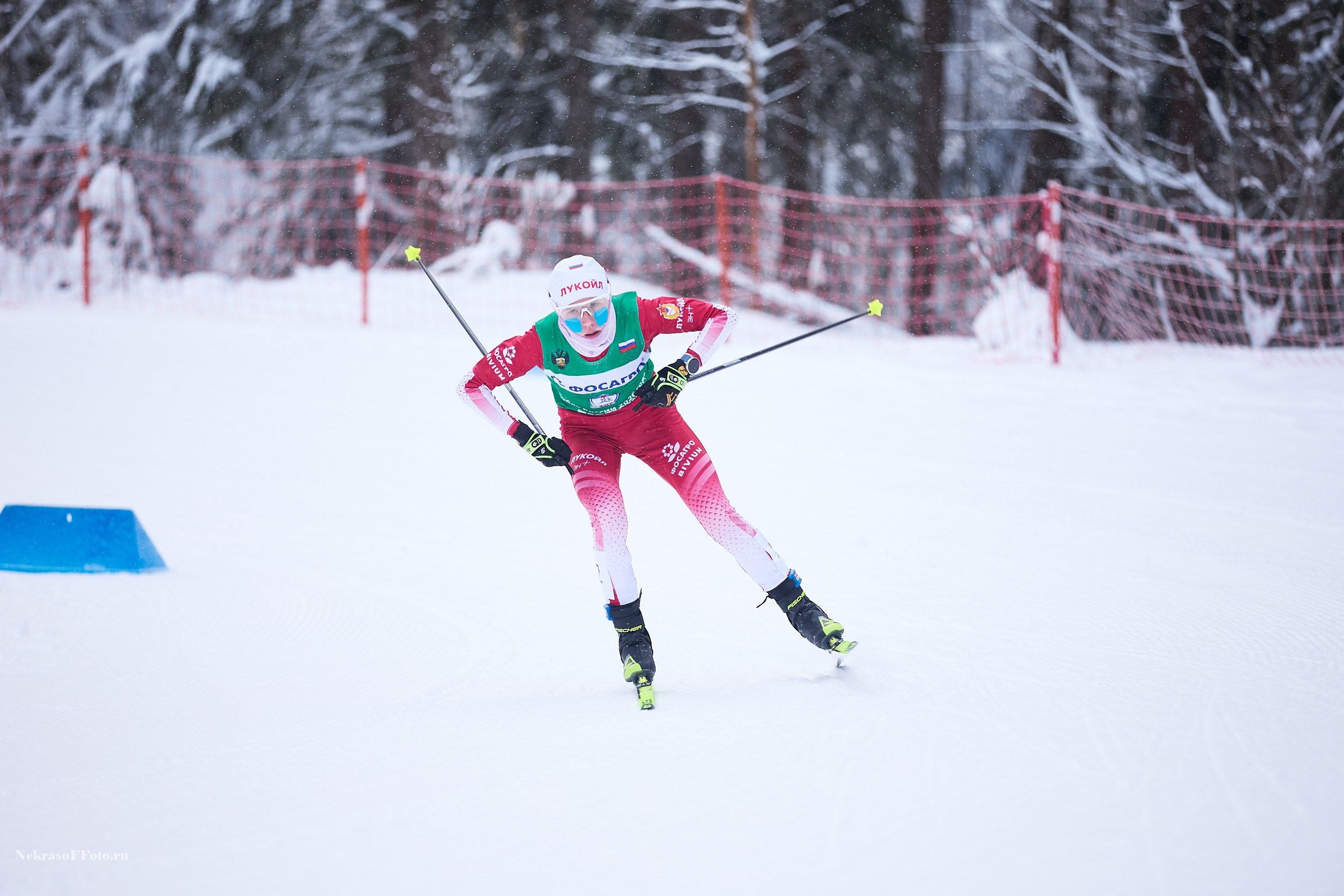 Кубок России по Лыжным гонкам. Спортивный фотограф Некрасов Денис